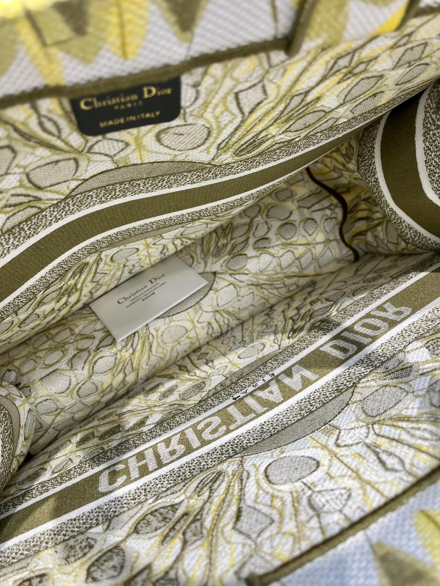 Book Tote 手袋由 Dior 女装创意总监玛丽亚·嘉茜娅·蔻丽 (Maria Grazia Ch Book Tote 手袋由 Dior 女装创意总监玛丽亚·嘉茜娅·蔻丽 (Maria Grazia Ch