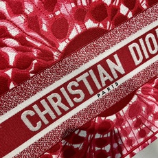 Book Tote 手袋由 Dior 女装创意总监玛丽亚·嘉茜娅·蔻丽 (Maria Grazia Ch Book Tote 手袋由 Dior 女装创意总监玛丽亚·嘉茜娅·蔻丽 (Maria Grazia Ch