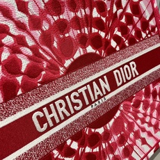 Book Tote 手袋由 Dior 女装创意总监玛丽亚·嘉茜娅·蔻丽 (Maria Grazia Ch Book Tote 手袋由 Dior 女装创意总监玛丽亚·嘉茜娅·蔻丽 (Maria Grazia Ch