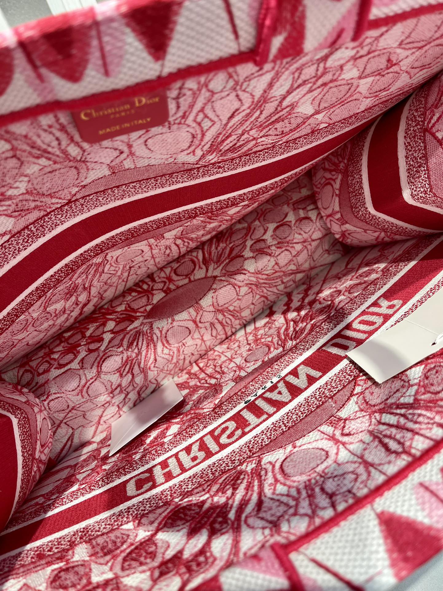 Book Tote 手袋由 Dior 女装创意总监玛丽亚·嘉茜娅·蔻丽 (Maria Grazia Ch Book Tote 手袋由 Dior 女装创意总监玛丽亚·嘉茜娅·蔻丽 (Maria Grazia Ch