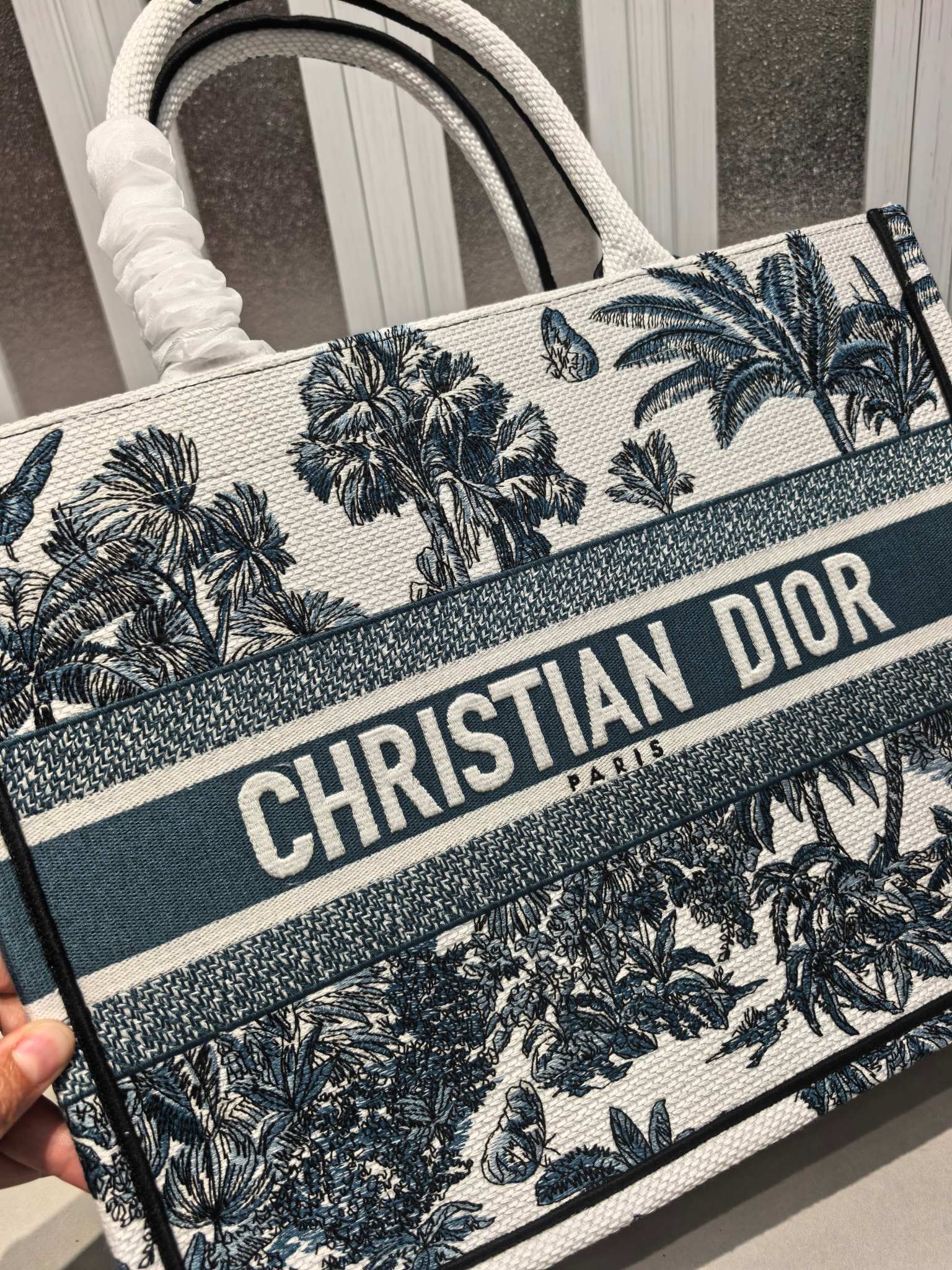 Book Tote 手袋由 Dior 女装创意总监玛丽亚·嘉茜娅·蔻丽 (Maria Grazia Ch Book Tote 手袋由 Dior 女装创意总监玛丽亚·嘉茜娅·蔻丽 (Maria Grazia Ch
