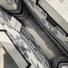 Book Tote 手袋由 Dior 女装创意总监玛丽亚·嘉茜娅·蔻丽 (Maria Grazia Ch Book Tote 手袋由 Dior 女装创意总监玛丽亚·嘉茜娅·蔻丽 (Maria Grazia Ch