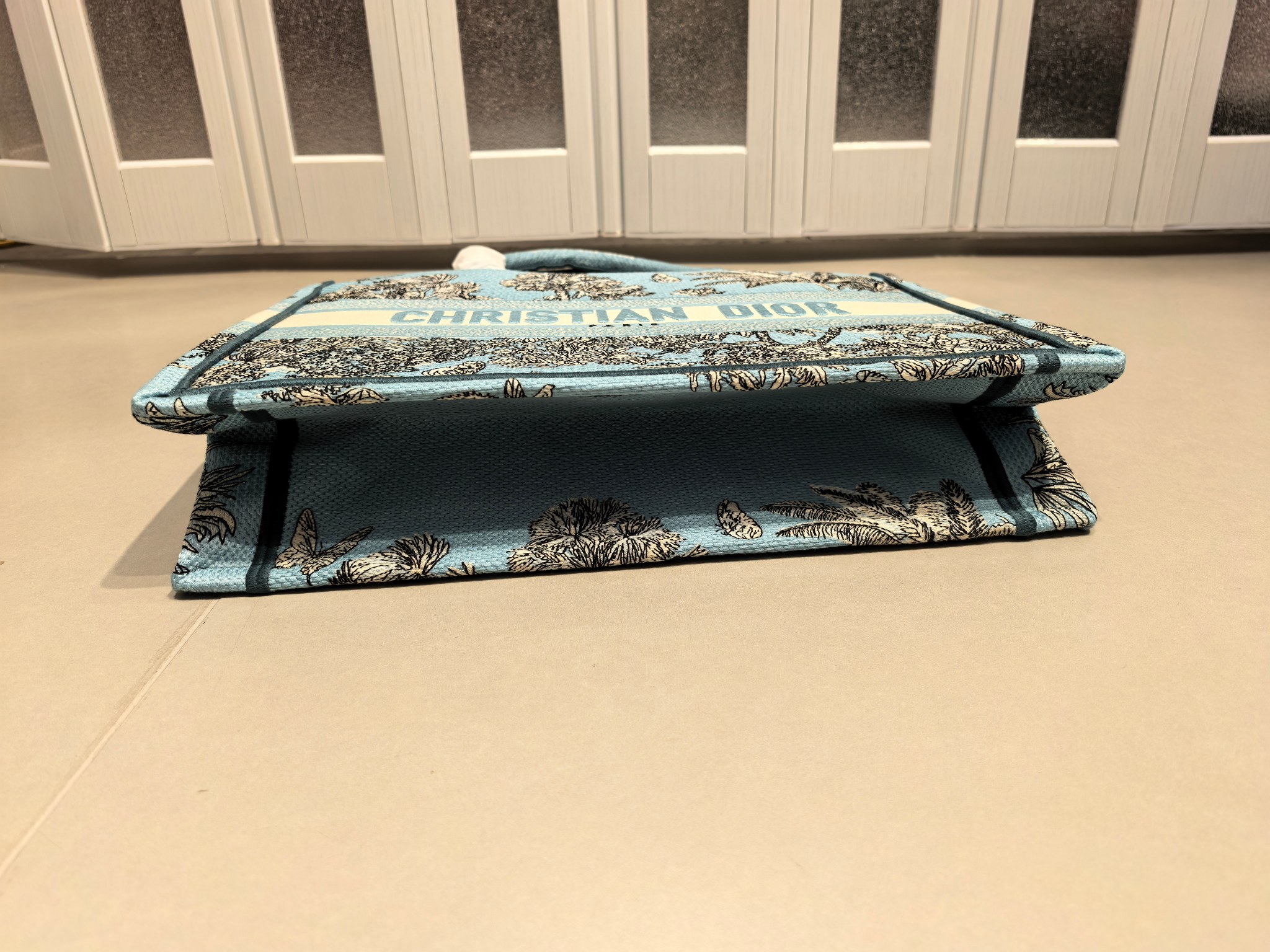 Book Tote 手袋由 Dior 女装创意总监玛丽亚·嘉茜娅·蔻丽 (Maria Grazia Ch