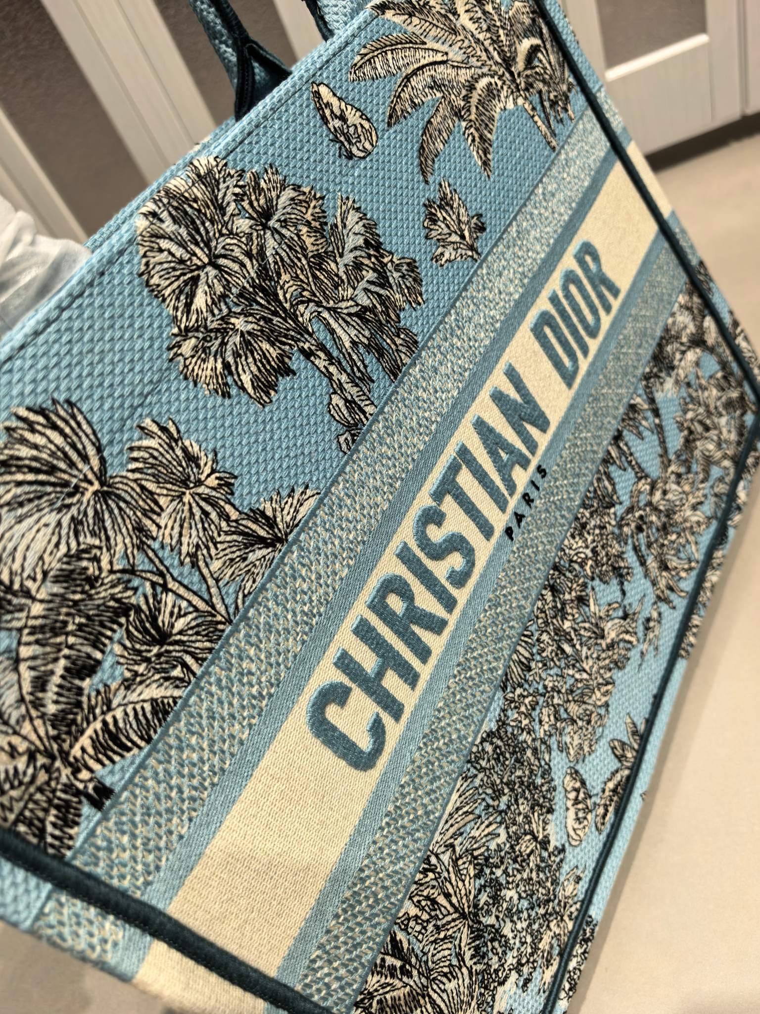 Book Tote 手袋由 Dior 女装创意总监玛丽亚·嘉茜娅·蔻丽 (Maria Grazia Ch