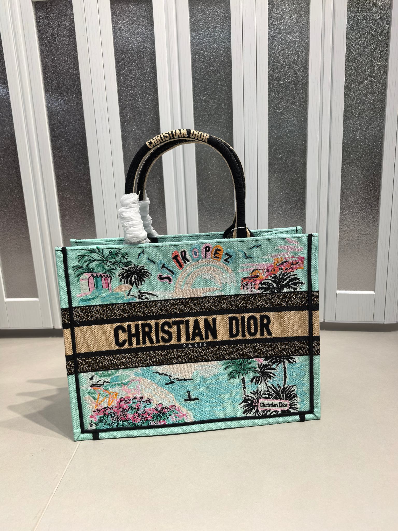 Book Tote 手袋由 Dior 女装创意总监玛丽亚·嘉茜娅·蔻丽 (Maria Grazia Ch