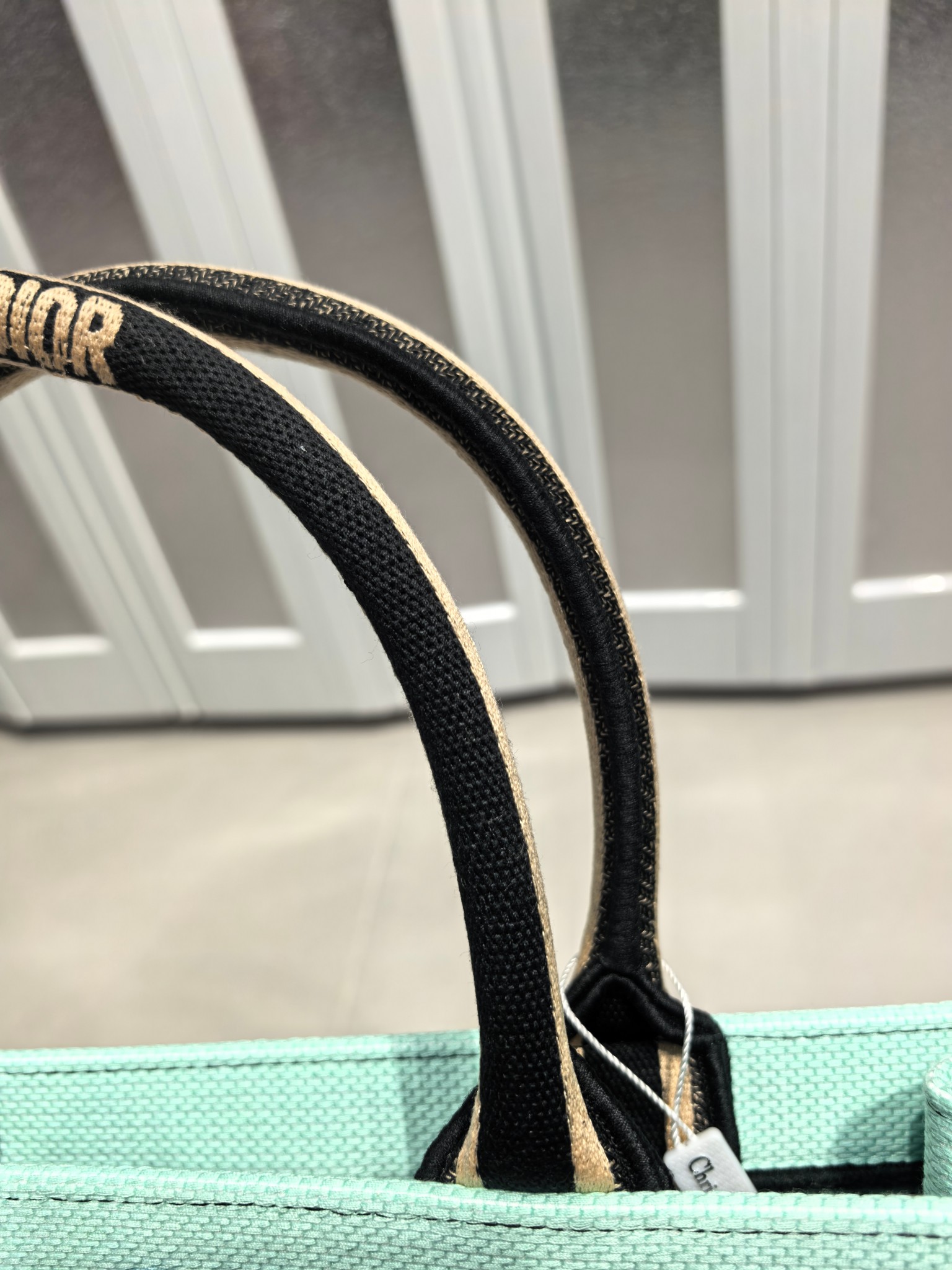 Book Tote 手袋由 Dior 女装创意总监玛丽亚·嘉茜娅·蔻丽 (Maria Grazia Ch