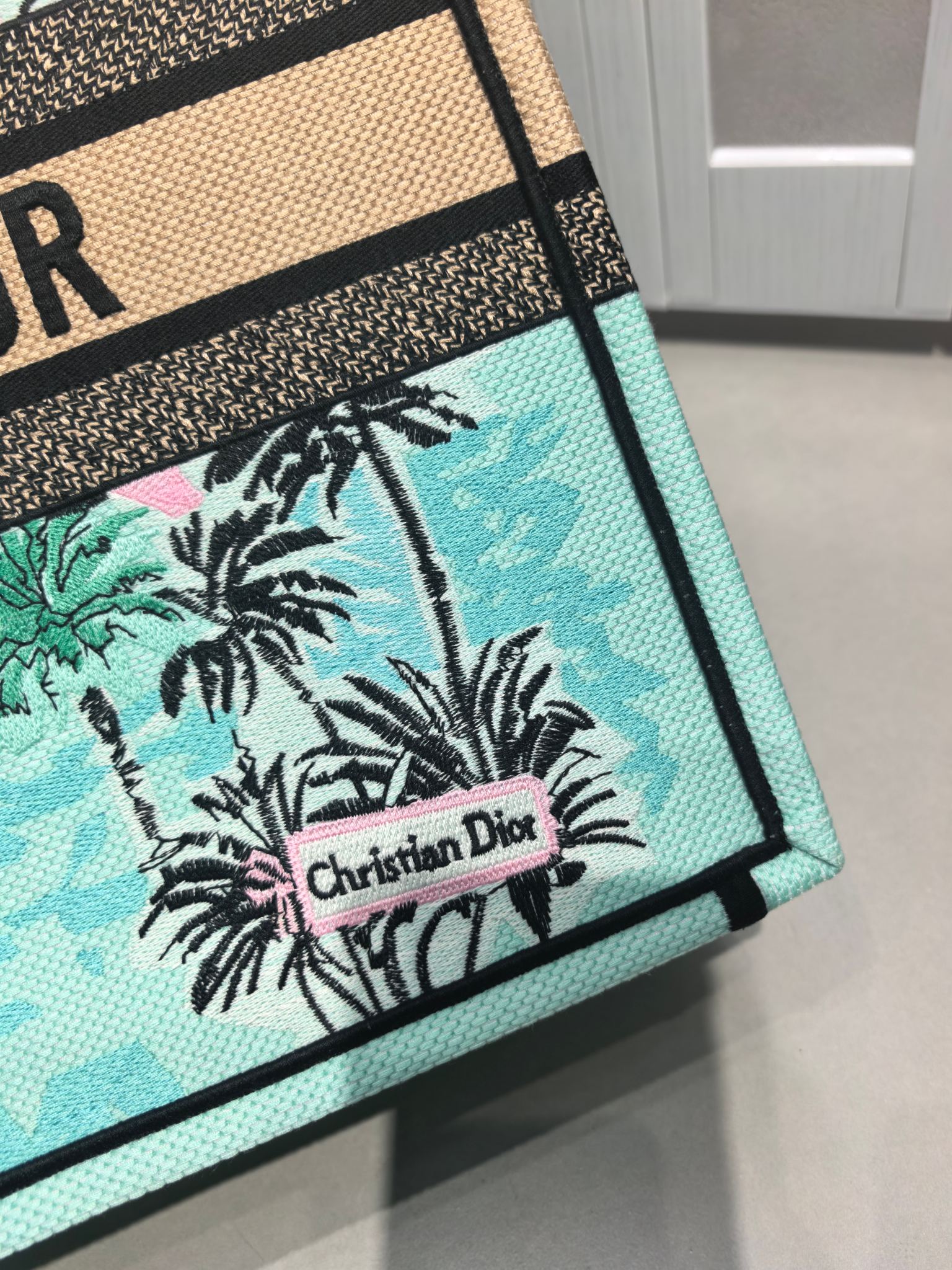 Book Tote 手袋由 Dior 女装创意总监玛丽亚·嘉茜娅·蔻丽 (Maria Grazia Ch