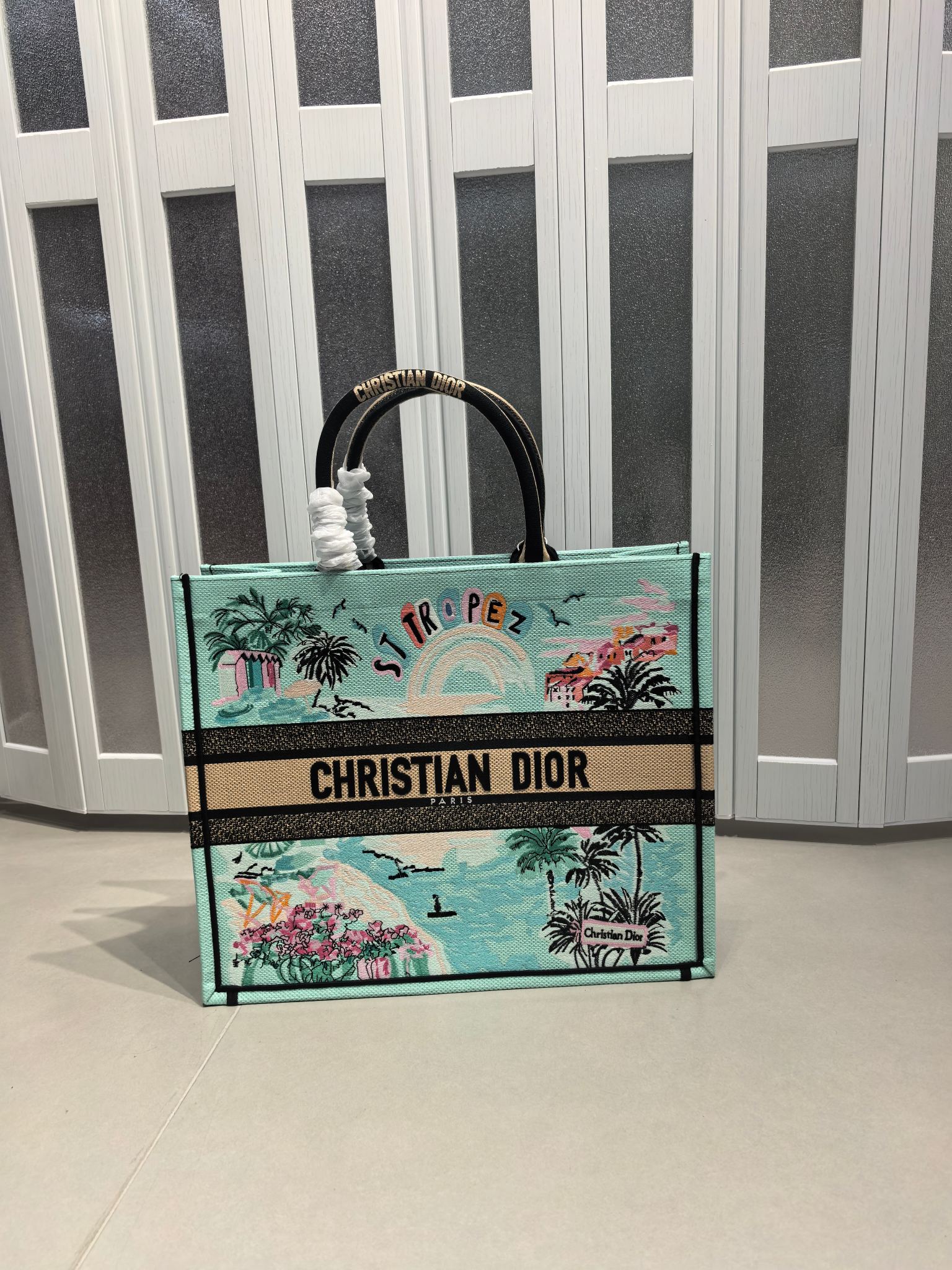 Book Tote 手袋由 Dior 女装创意总监玛丽亚·嘉茜娅·蔻丽 (Maria Grazia Ch