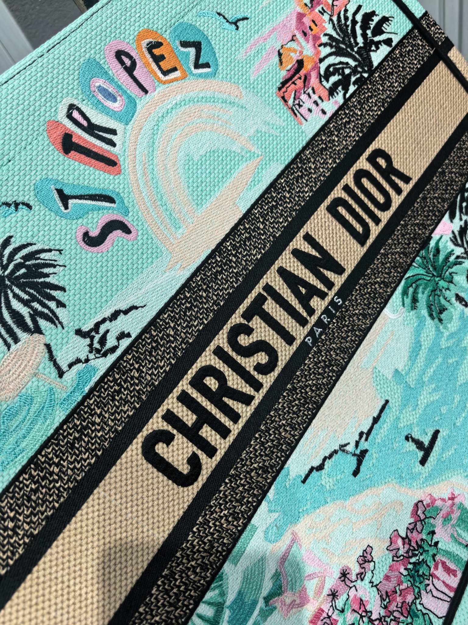 Book Tote 手袋由 Dior 女装创意总监玛丽亚·嘉茜娅·蔻丽 (Maria Grazia Ch