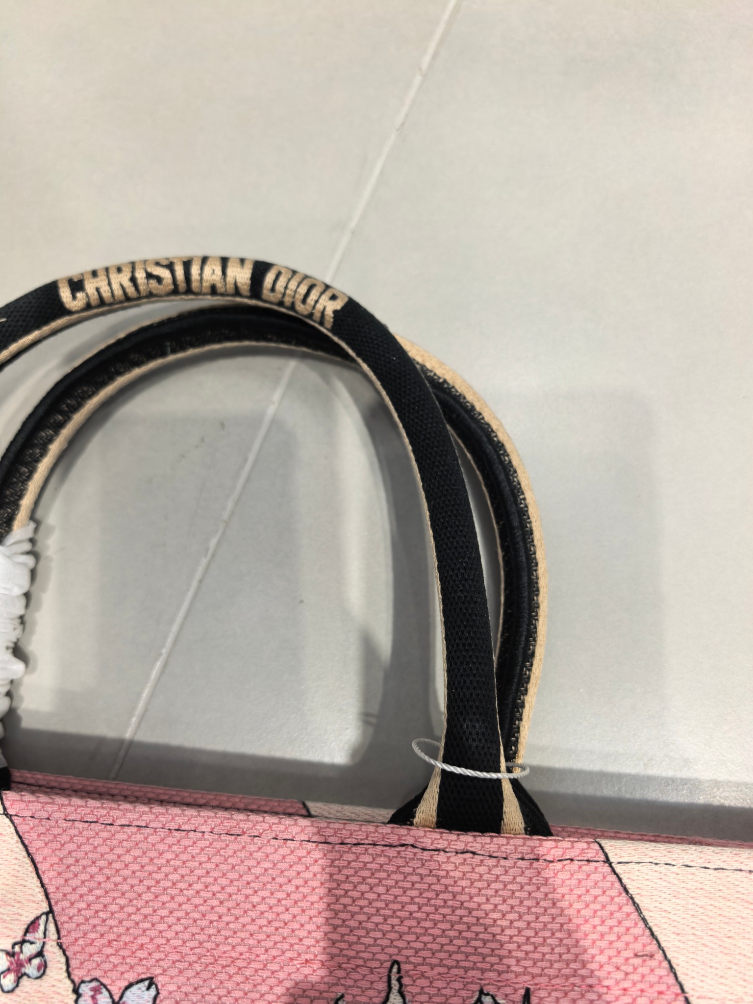 Book Tote 手袋由 Dior 女装创意总监玛丽亚·嘉茜娅·蔻丽 (Maria Grazia Ch