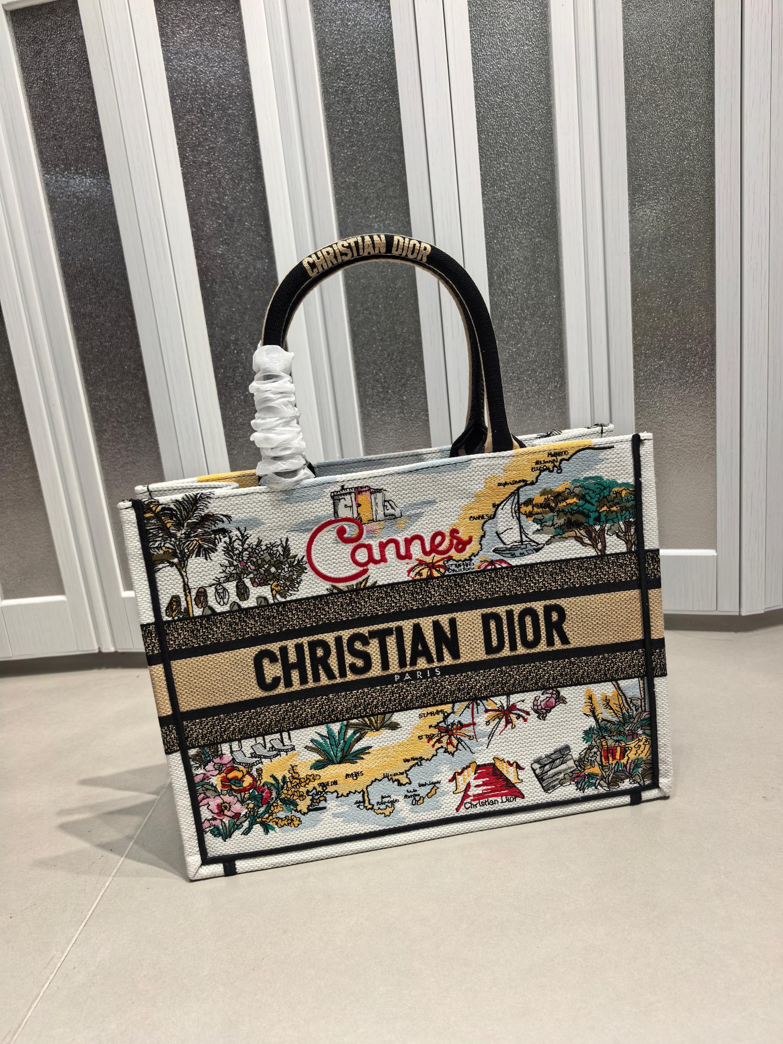 Book Tote 手袋由 Dior 女装创意总监玛丽亚·嘉茜娅·蔻丽 (Maria Grazia Ch Book Tote 手袋由 Dior 女装创意总监玛丽亚·嘉茜娅·蔻丽 (Maria Grazia Ch