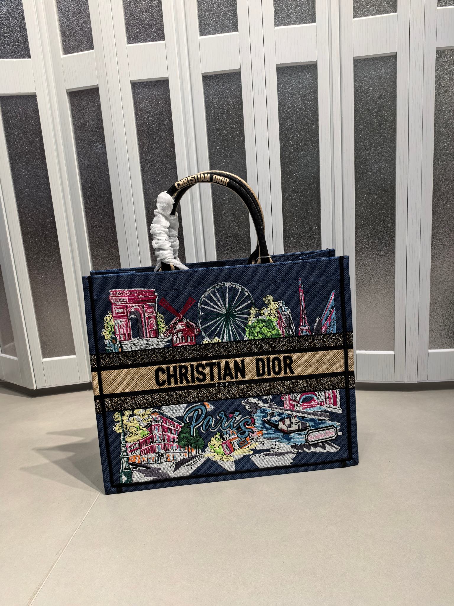 Book Tote 手袋由 Dior 女装创意总监玛丽亚·嘉茜娅·蔻丽 (Maria Grazia Ch Book Tote 手袋由 Dior 女装创意总监玛丽亚·嘉茜娅·蔻丽 (Maria Grazia Ch