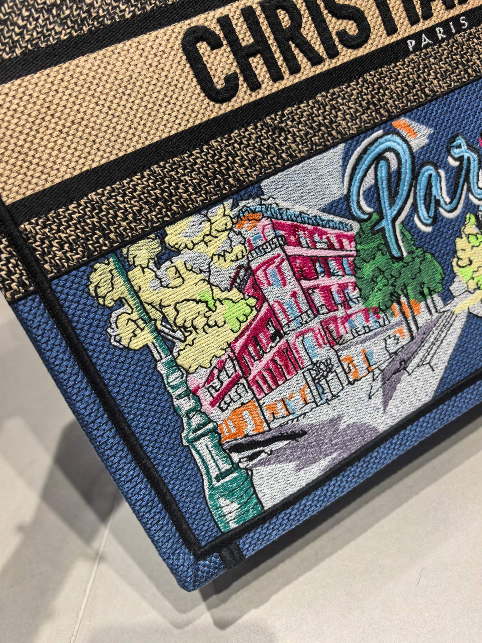 Book Tote 手袋由 Dior 女装创意总监玛丽亚·嘉茜娅·蔻丽 (Maria Grazia Ch Book Tote 手袋由 Dior 女装创意总监玛丽亚·嘉茜娅·蔻丽 (Maria Grazia Ch