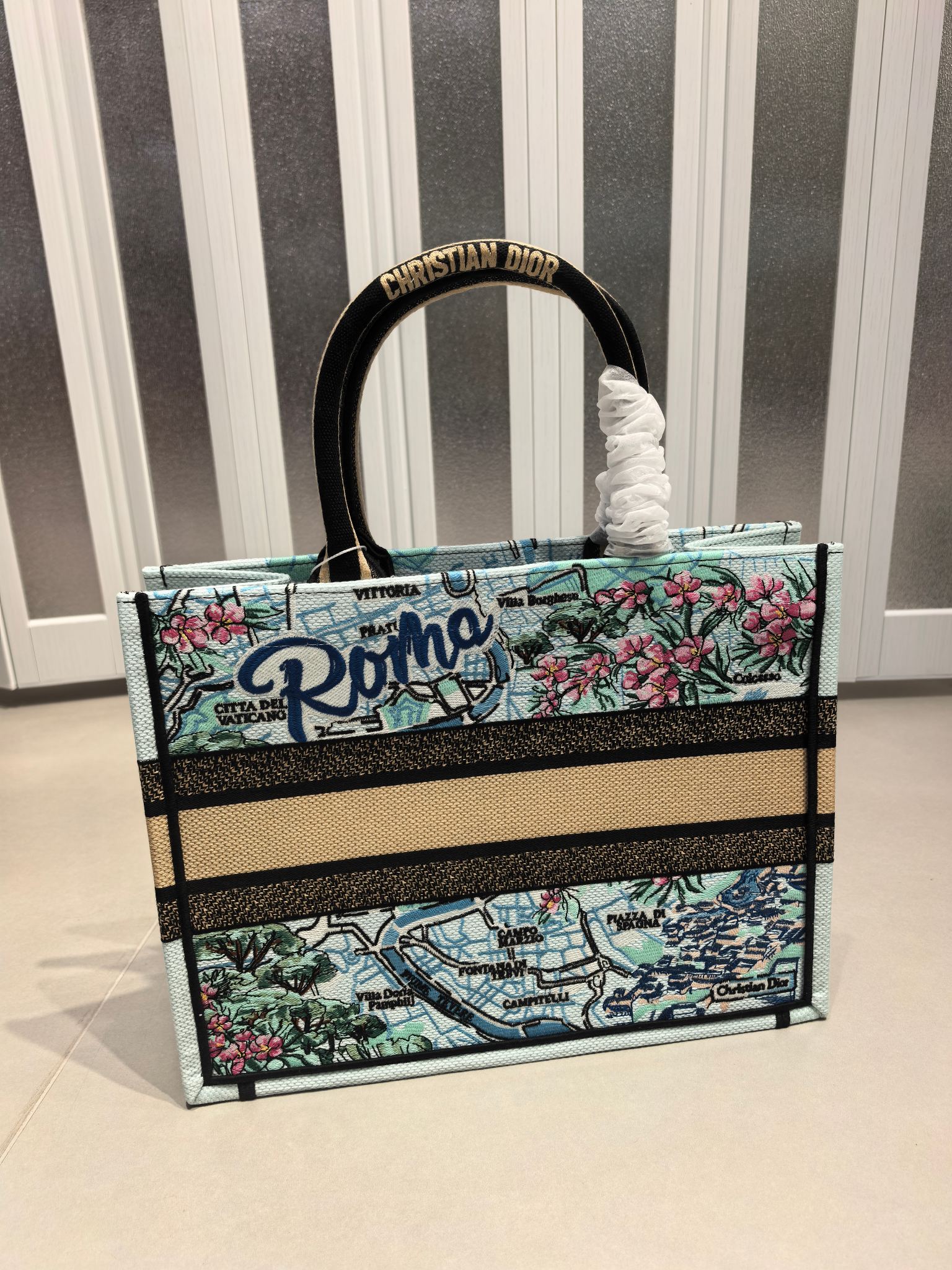 Book Tote 手袋由 Dior 女装创意总监玛丽亚·嘉茜娅·蔻丽 (Maria Grazia Ch Book Tote 手袋由 Dior 女装创意总监玛丽亚·嘉茜娅·蔻丽 (Maria Grazia Ch