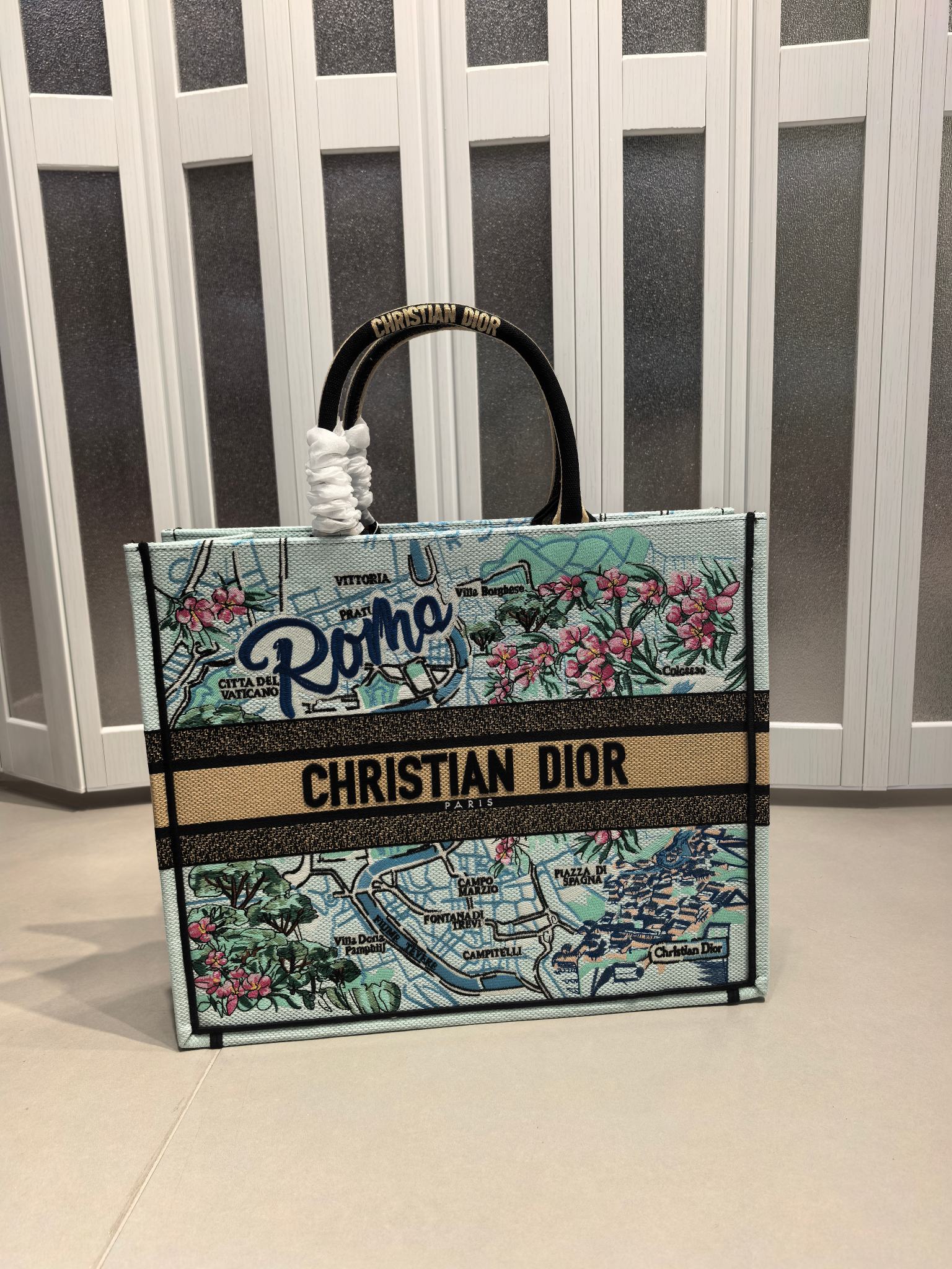 Book Tote 手袋由 Dior 女装创意总监玛丽亚·嘉茜娅·蔻丽 (Maria Grazia Ch Book Tote 手袋由 Dior 女装创意总监玛丽亚·嘉茜娅·蔻丽 (Maria Grazia Ch