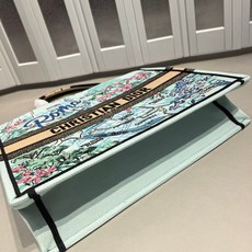 Book Tote 手袋由 Dior 女装创意总监玛丽亚·嘉茜娅·蔻丽 (Maria Grazia Ch Book Tote 手袋由 Dior 女装创意总监玛丽亚·嘉茜娅·蔻丽 (Maria Grazia Ch