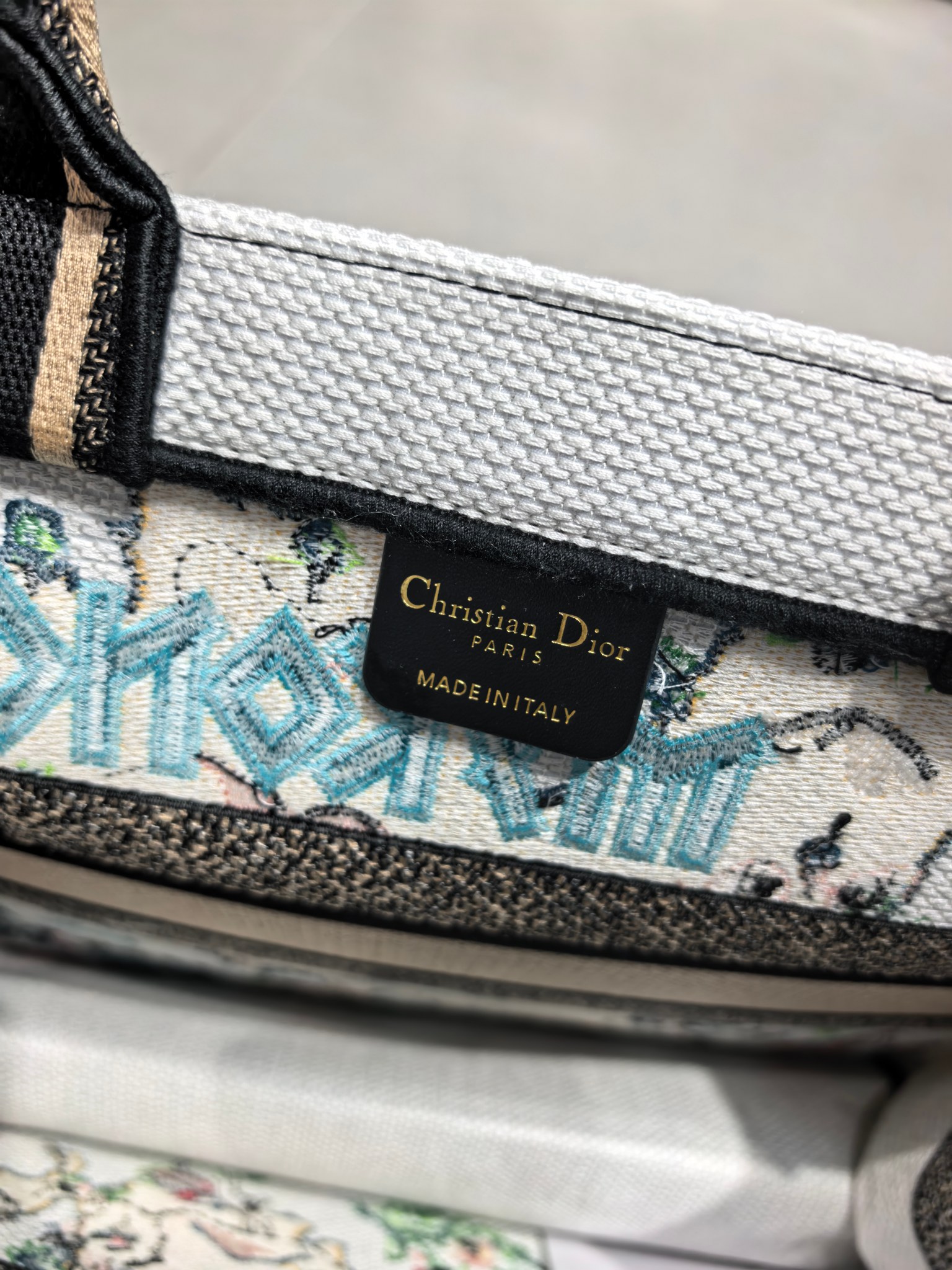 Book Tote 手袋由 Dior 女装创意总监玛丽亚·嘉茜娅·蔻丽 (Maria Grazia Ch