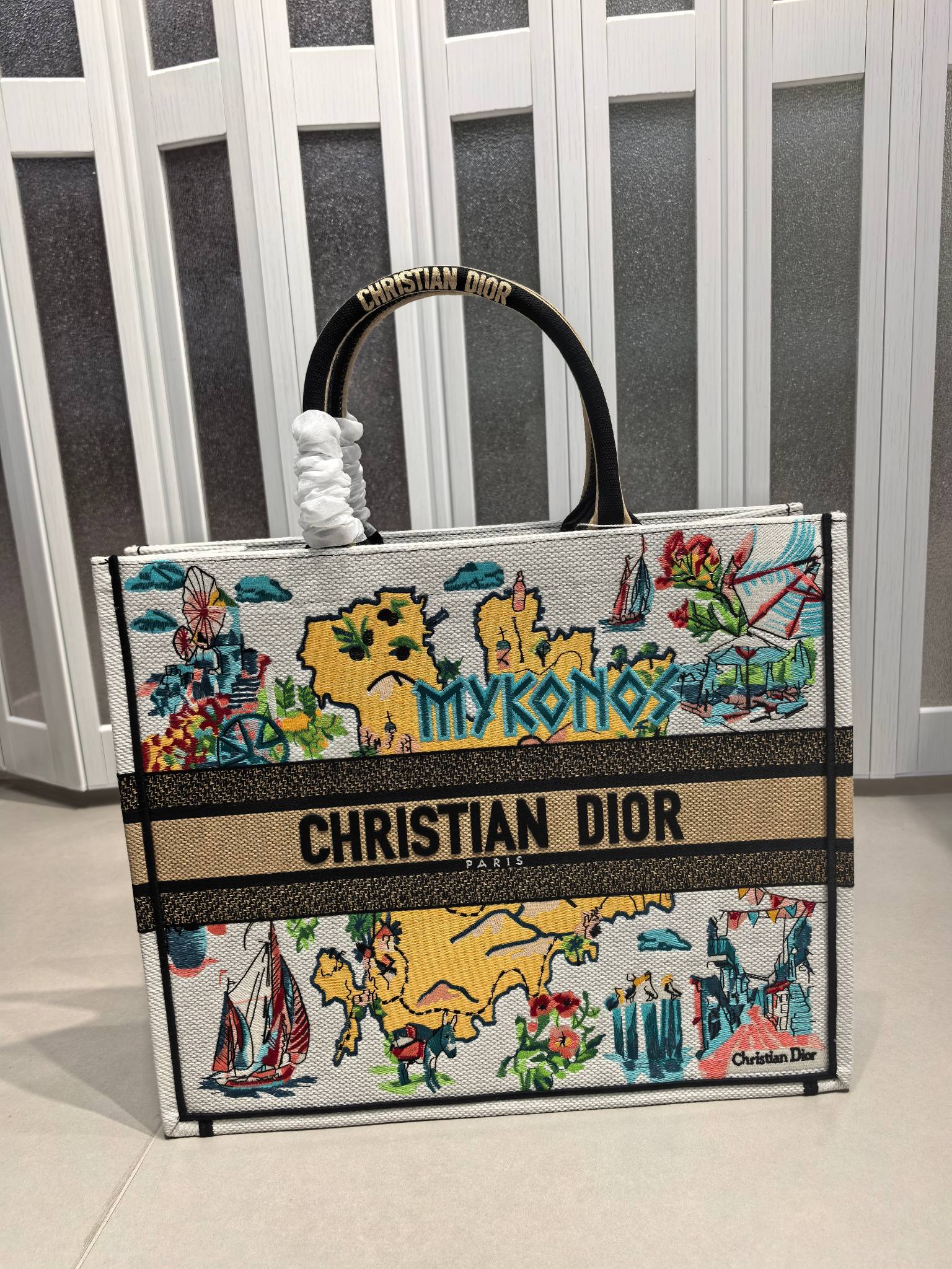 Book Tote 手袋由 Dior 女装创意总监玛丽亚·嘉茜娅·蔻丽 (Maria Grazia Ch