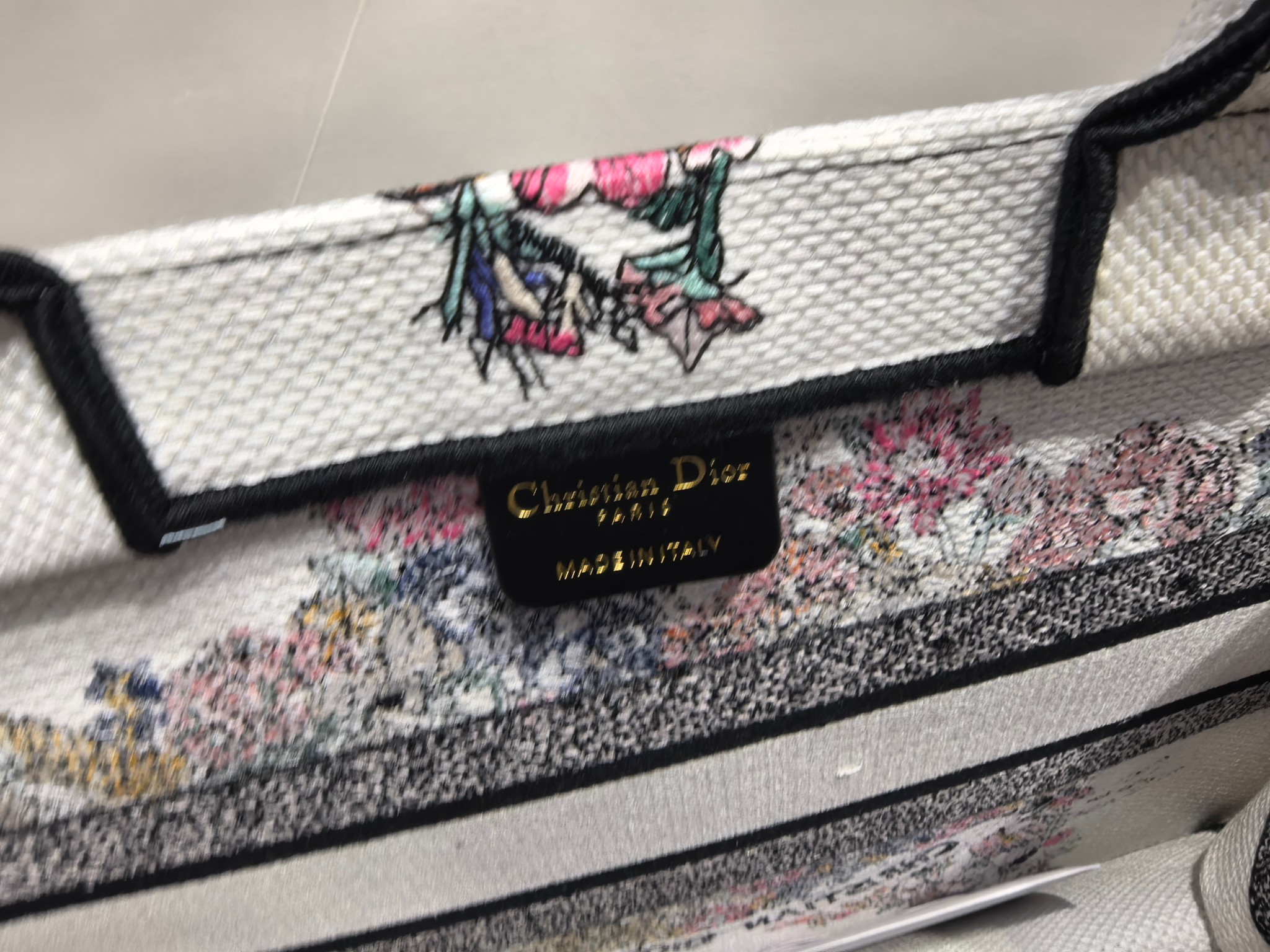 Book Tote 手袋由 Dior 女装创意总监玛丽亚·嘉茜娅·蔻丽 (Maria Grazia Ch Book Tote 手袋由 Dior 女装创意总监玛丽亚·嘉茜娅·蔻丽 (Maria Grazia Ch