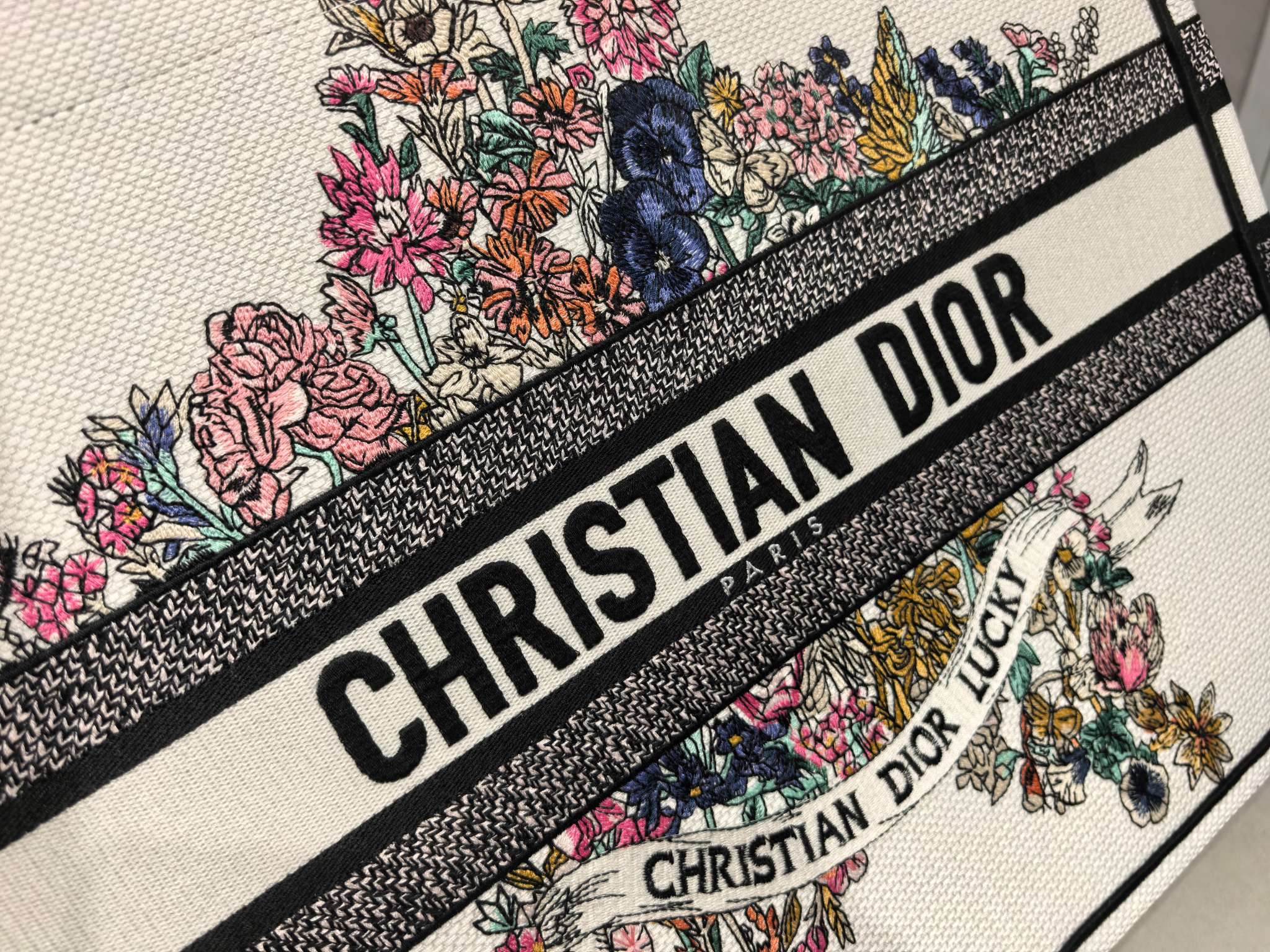 Book Tote 手袋由 Dior 女装创意总监玛丽亚·嘉茜娅·蔻丽 (Maria Grazia Ch Book Tote 手袋由 Dior 女装创意总监玛丽亚·嘉茜娅·蔻丽 (Maria Grazia Ch