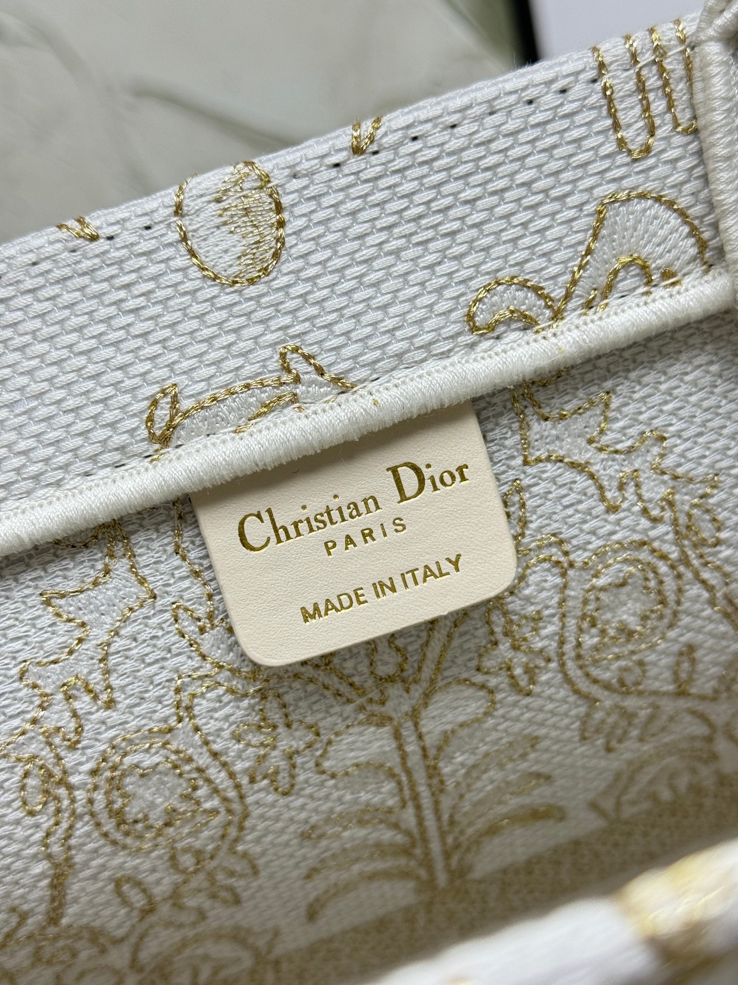 Book Tote 手袋由 Dior 女装创意总监玛丽亚·嘉茜娅·蔻丽 (Maria Grazia Ch