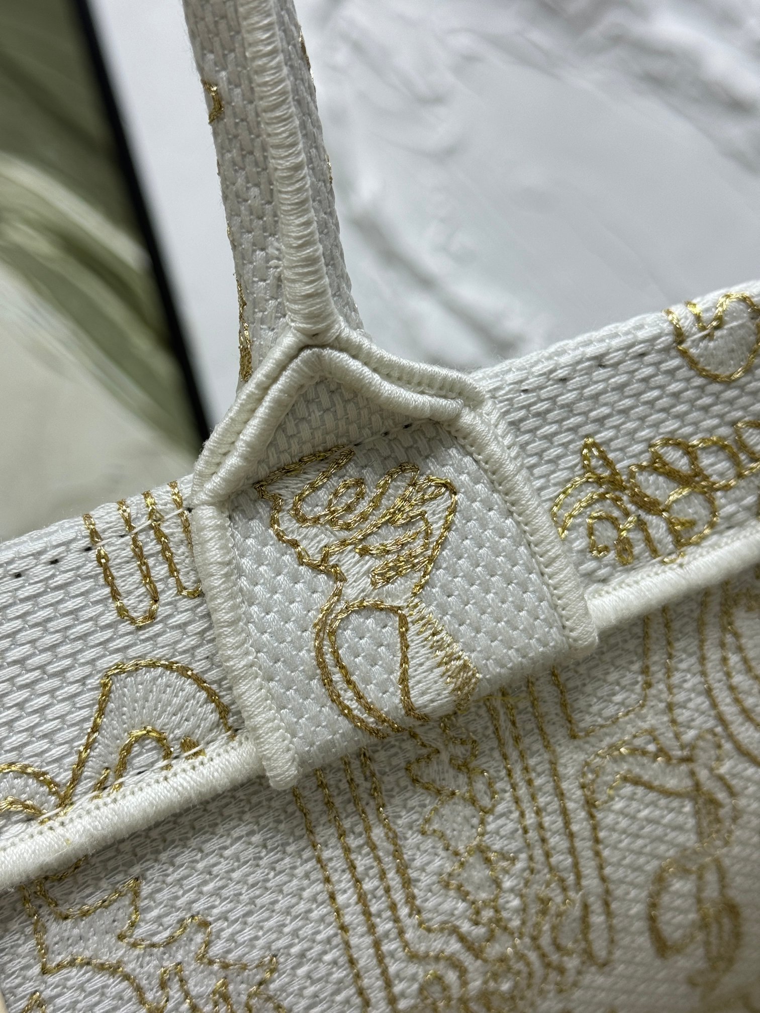 Book Tote 手袋由 Dior 女装创意总监玛丽亚·嘉茜娅·蔻丽 (Maria Grazia Ch