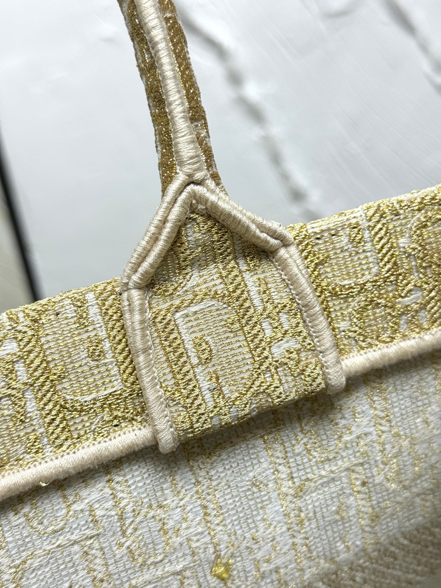 Book Tote 手袋由 Dior 女装创意总监玛丽亚·嘉茜娅·蔻丽 (Maria Grazia Ch