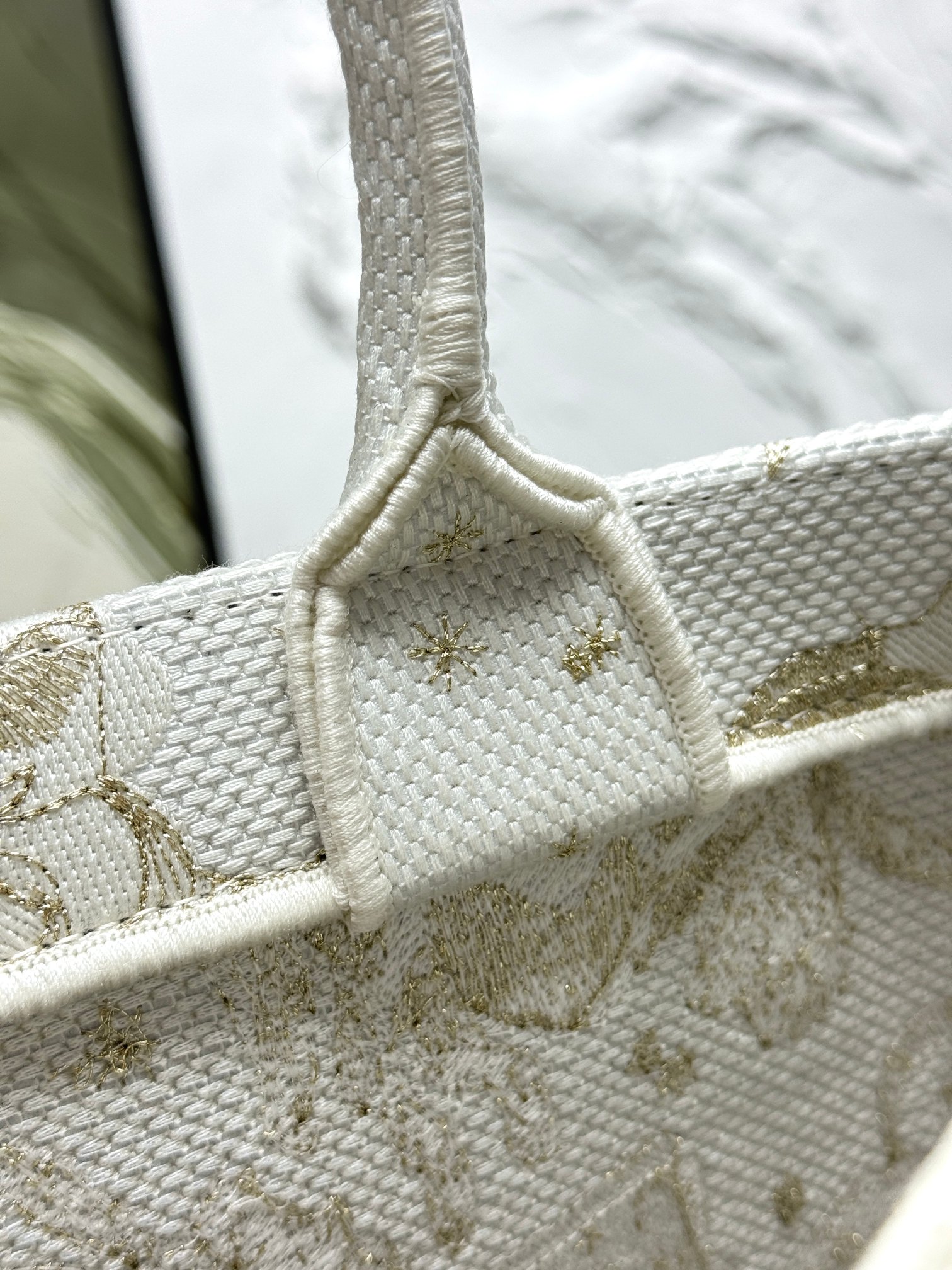 Book Tote 手袋由 Dior 女装创意总监玛丽亚·嘉茜娅·蔻丽 (Maria Grazia Ch