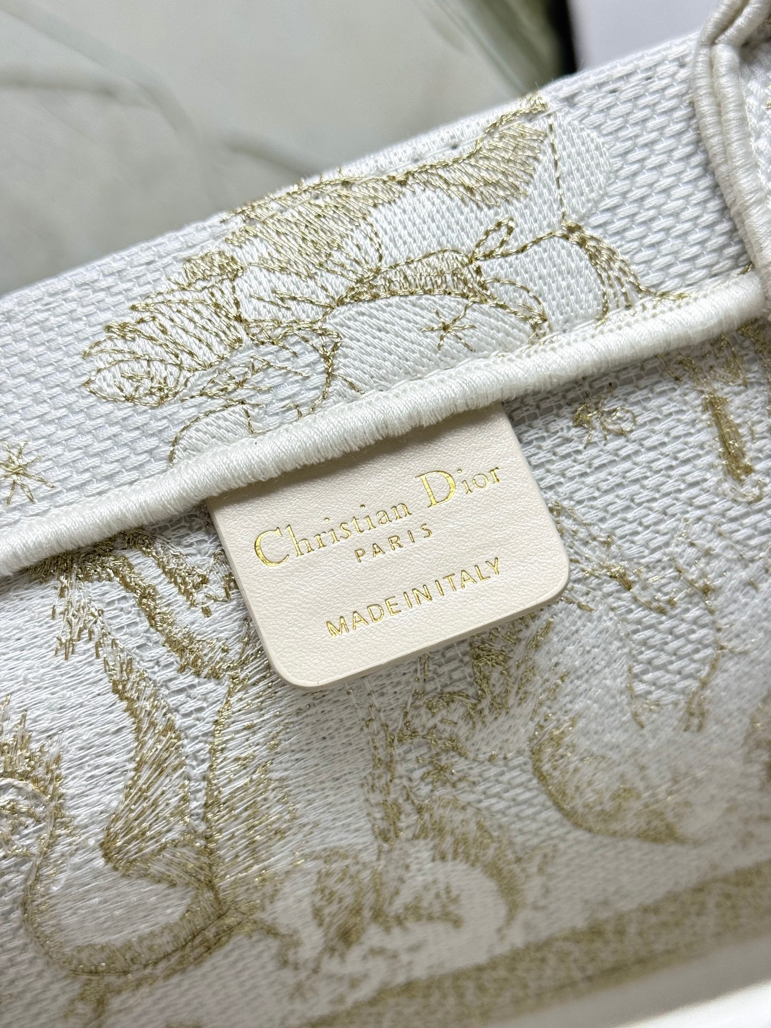 Book Tote 手袋由 Dior 女装创意总监玛丽亚·嘉茜娅·蔻丽 (Maria Grazia Ch