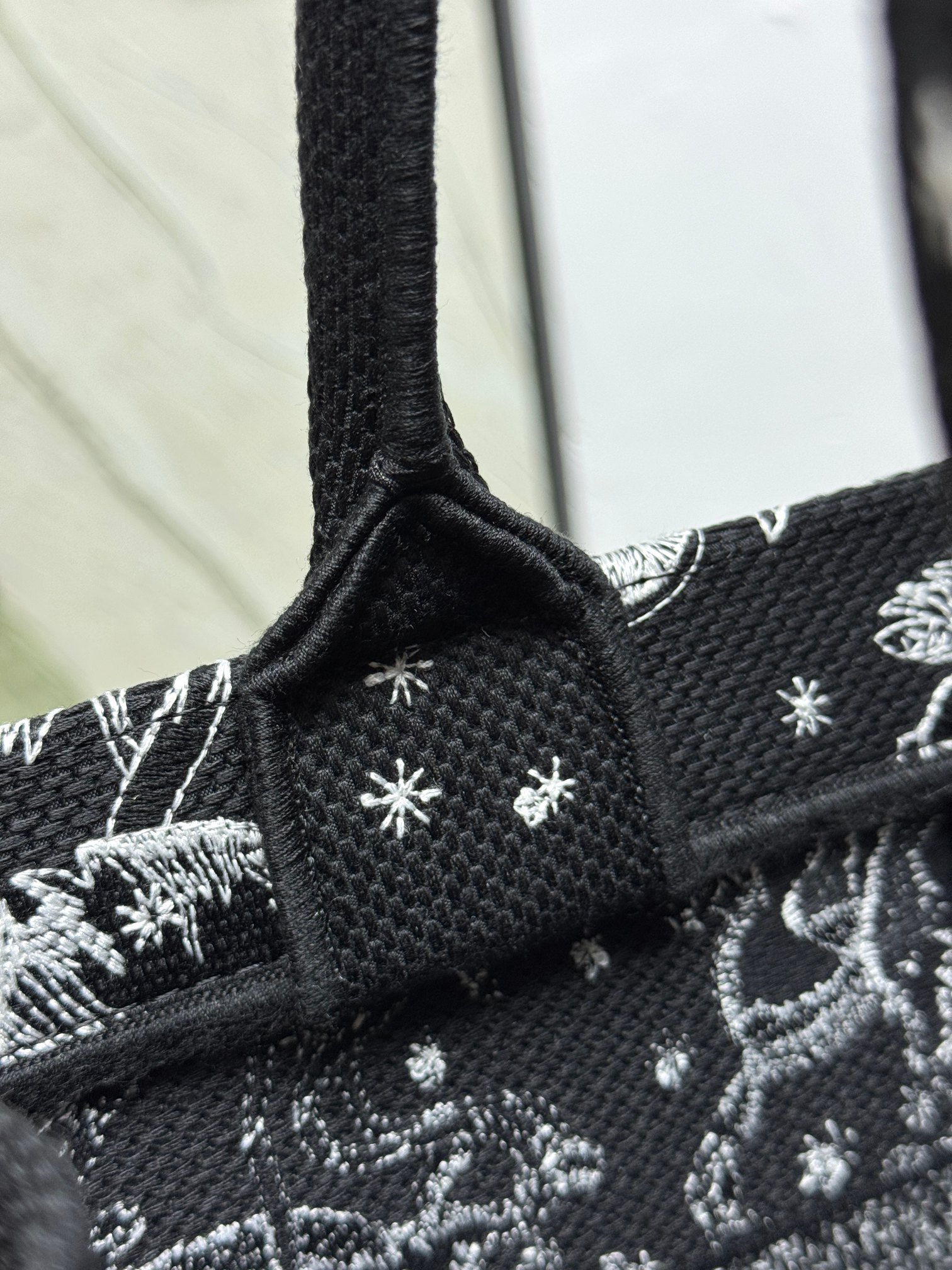 Book Tote 手袋由 Dior 女装创意总监玛丽亚·嘉茜娅·蔻丽 (Maria Grazia Ch Book Tote 手袋由 Dior 女装创意总监玛丽亚·嘉茜娅·蔻丽 (Maria Grazia Ch