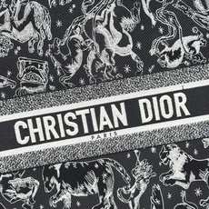 Book Tote 手袋由 Dior 女装创意总监玛丽亚·嘉茜娅·蔻丽 (Maria Grazia Ch Book Tote 手袋由 Dior 女装创意总监玛丽亚·嘉茜娅·蔻丽 (Maria Grazia Ch