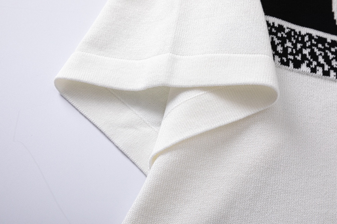 DIOR 23fw Classic Logo Woven T-shirt in Black and White - 图片 8