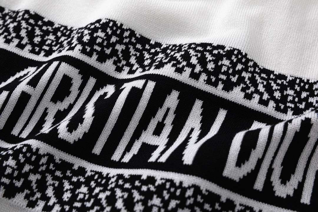 DIOR 23fw Classic Logo Woven T-shirt in Black and White - 图片 7