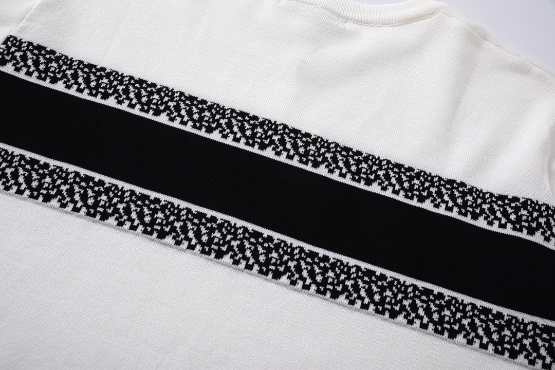 DIOR 23fw Classic Logo Woven T-shirt in Black and White - 图片 6
