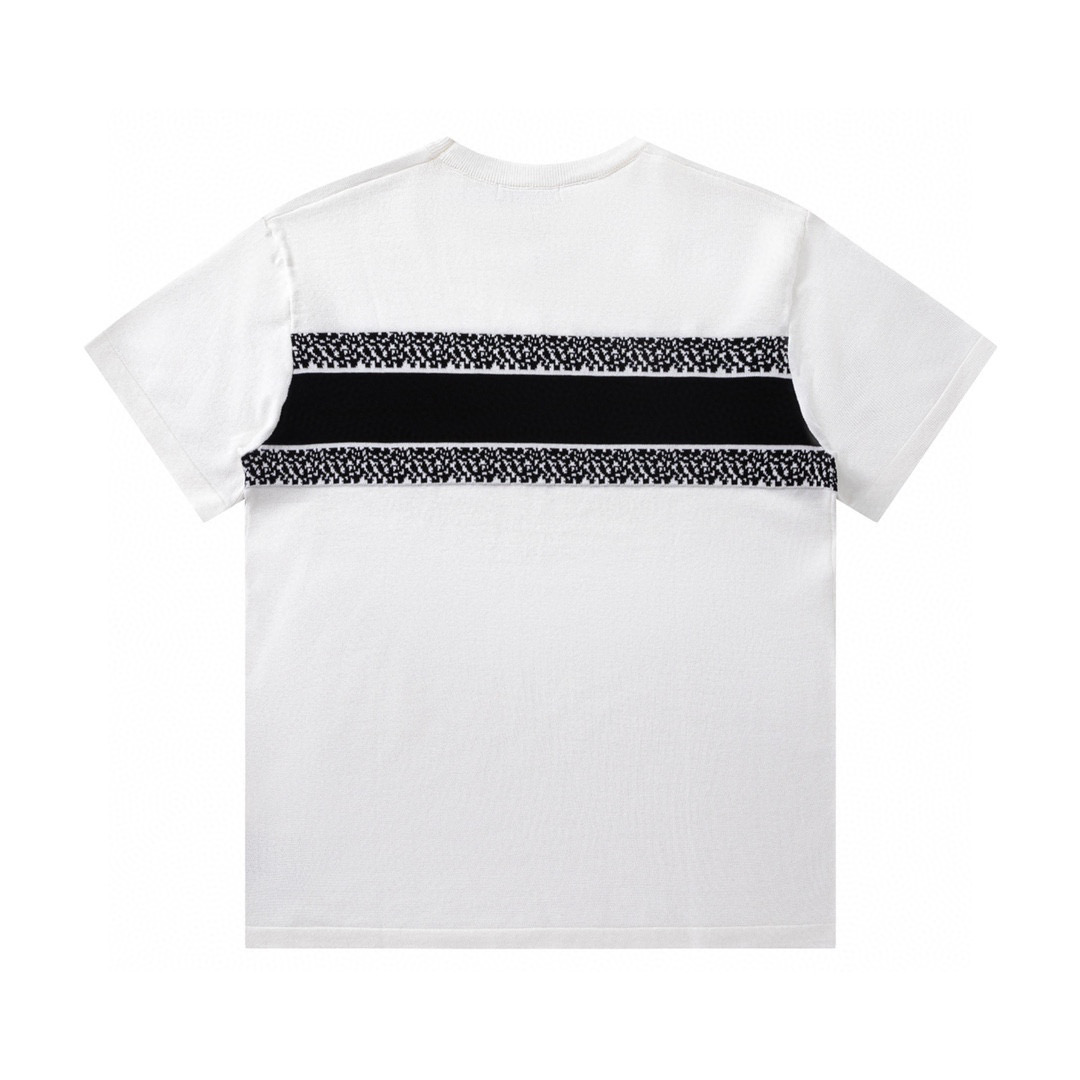 DIOR 23fw Classic Logo Woven T-shirt in Black and White - 图片 2
