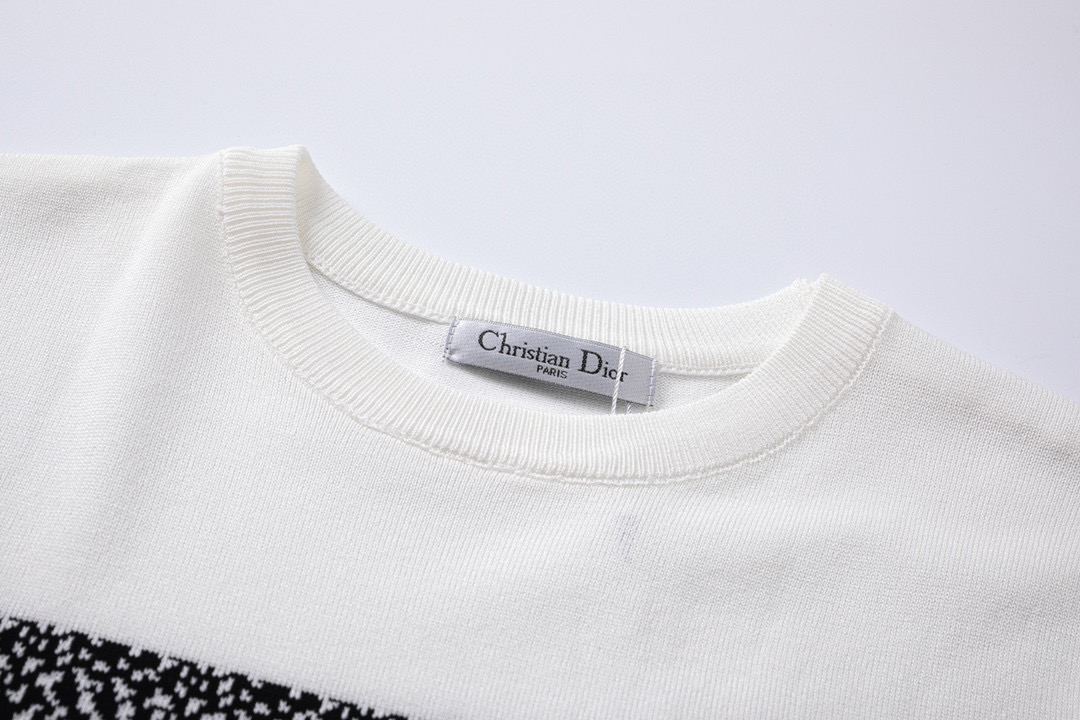 DIOR 23fw Classic Logo Woven T-shirt in Black and White - 图片 3