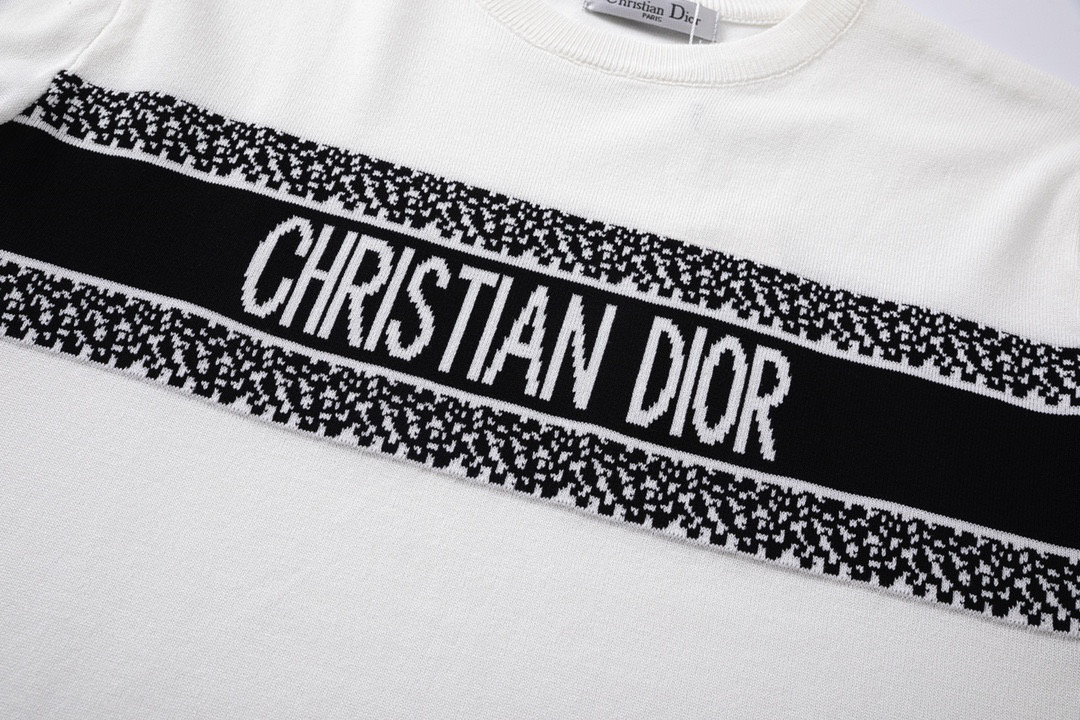 DIOR 23fw Classic Logo Woven T-shirt in Black and White - 图片 4