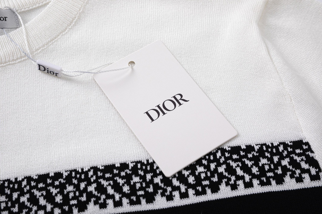 DIOR 23fw Classic Logo Woven T-shirt in Black and White - 图片 5