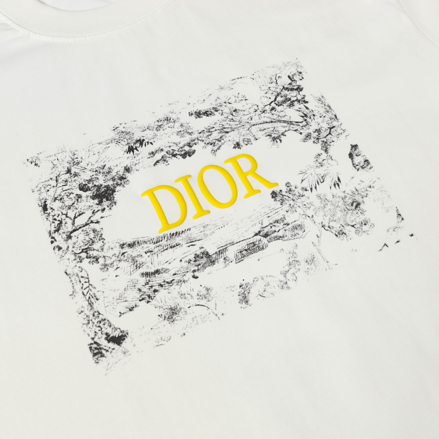 DIOR 25SS新品热卖款 T恤短袖服装,dior 7