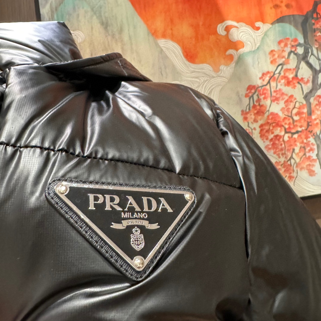 PRAD24S秋冬男士短款连帽羽绒服防风防水防静电！！！内里90白鸭绒填充轻盈蓬松柔软舒适保暖！！胸前三