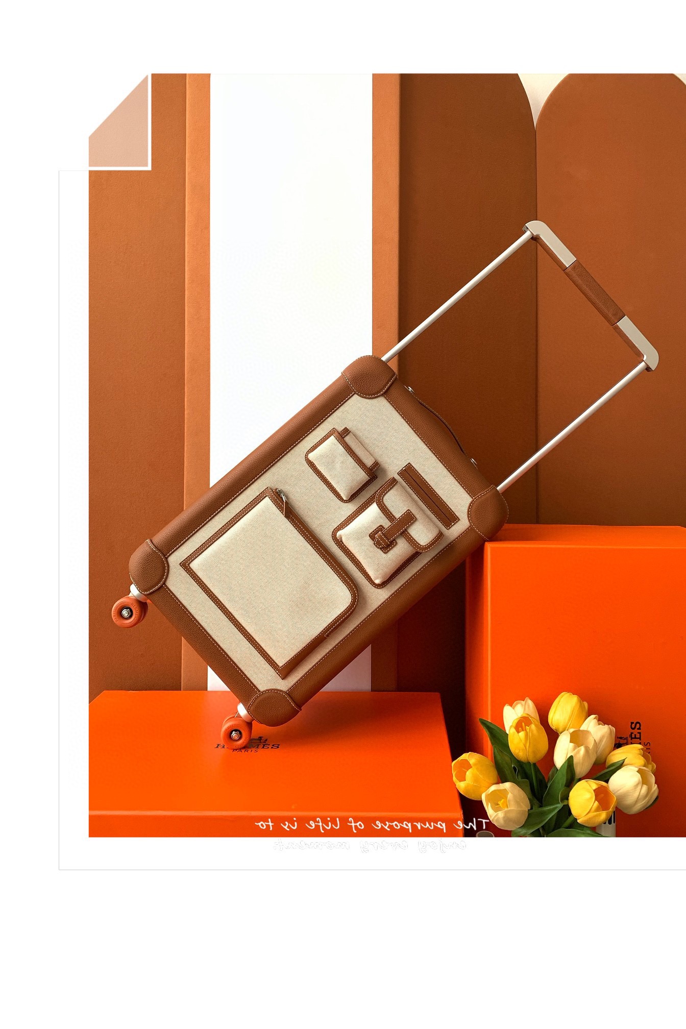 Hermes Custom Carry-On Luggage - Lightweight, Cabin-Sized, and Personalized 11 i1730186761 8877 1