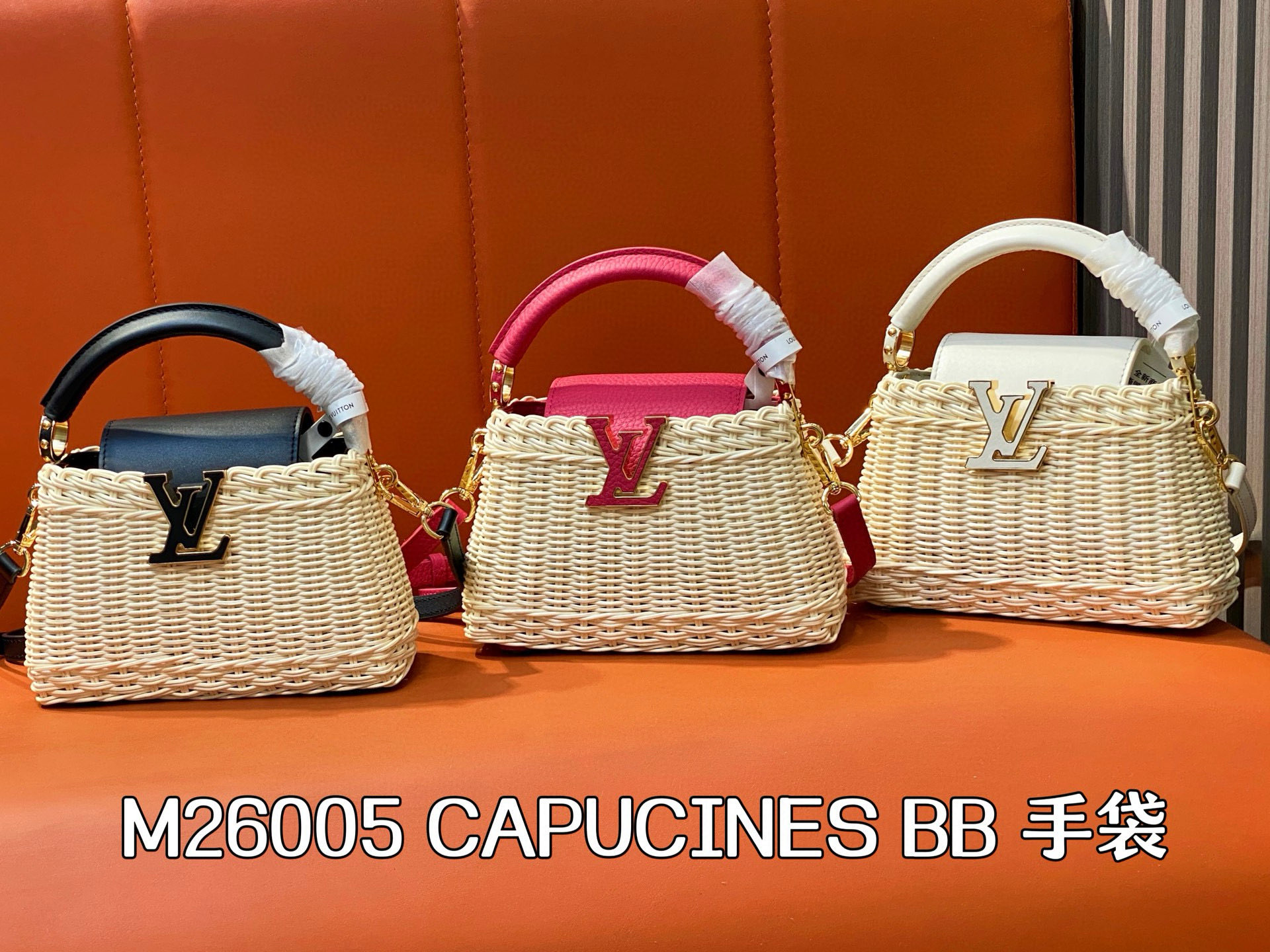 Louis Vuitton Capucines BB Woven Leather Handle Bag, 21 x 8 x 14 cm 14 i1751097172314 8011 0 14