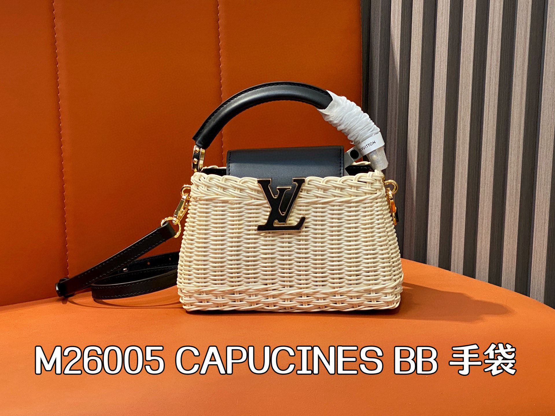 Louis Vuitton Capucines BB Woven Leather Handle Bag, 21 x 8 x 14 cm 13 i1751097237781 7337 0 11