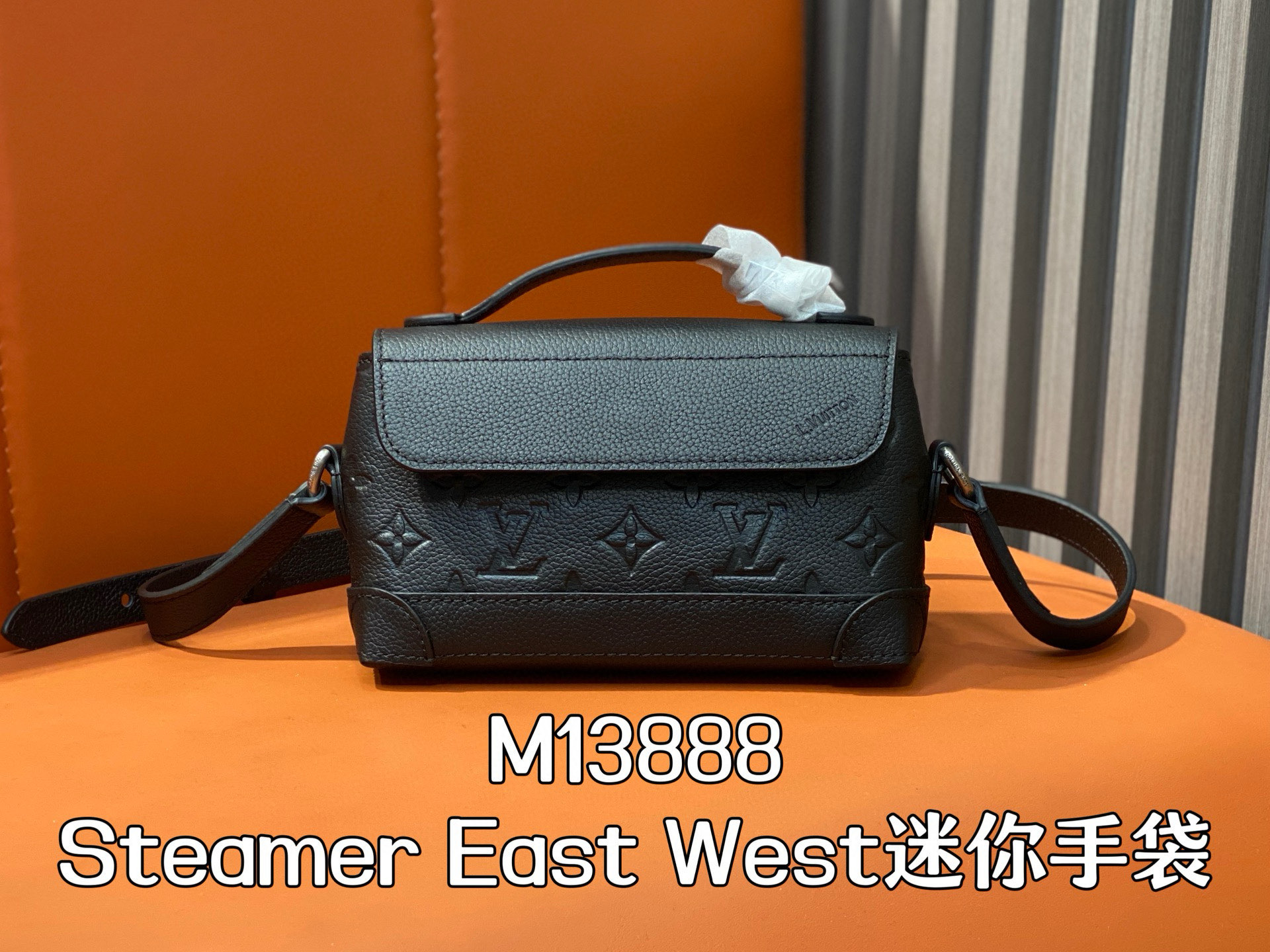 Louis Vuitton Black Monogram Embossed Taurillon Leather Steamer East West Bag 11 i1751600228836 2229 0 9