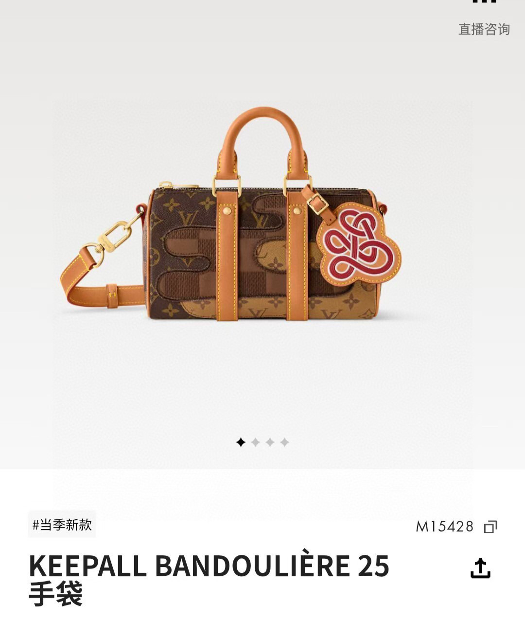 תיק מודלי לוי ויטון Keepall Bandouliרe 25 DB מבד קנבס מונוגרמ 7 i1752473652181 2774 0 5