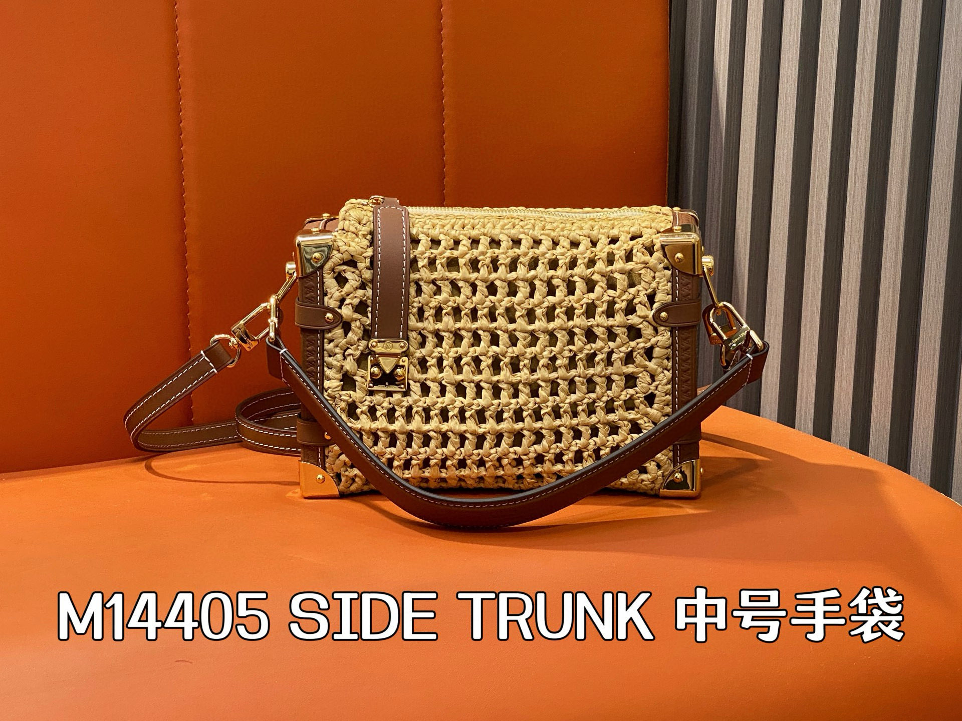 Louis Vuitton Raffia Woven Side Trunk Medium Satchel Bag, 23.5 x 16 x 8.5 cm 14 i1752634958263 5207 0 12