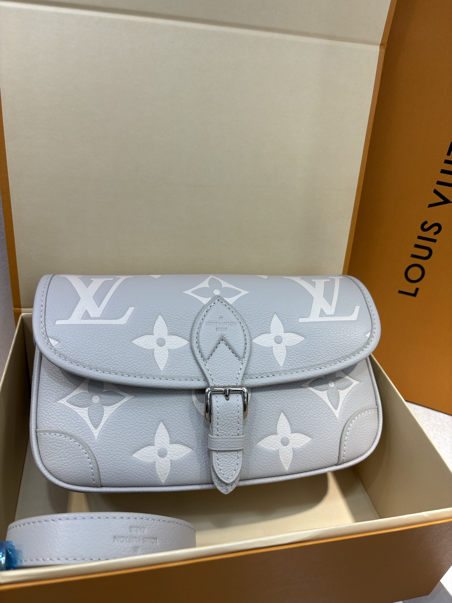 Louis Vuitton Diane Bag - Stylish Crossbody with Monogram Design 3 i1754551881170 8611 0 2