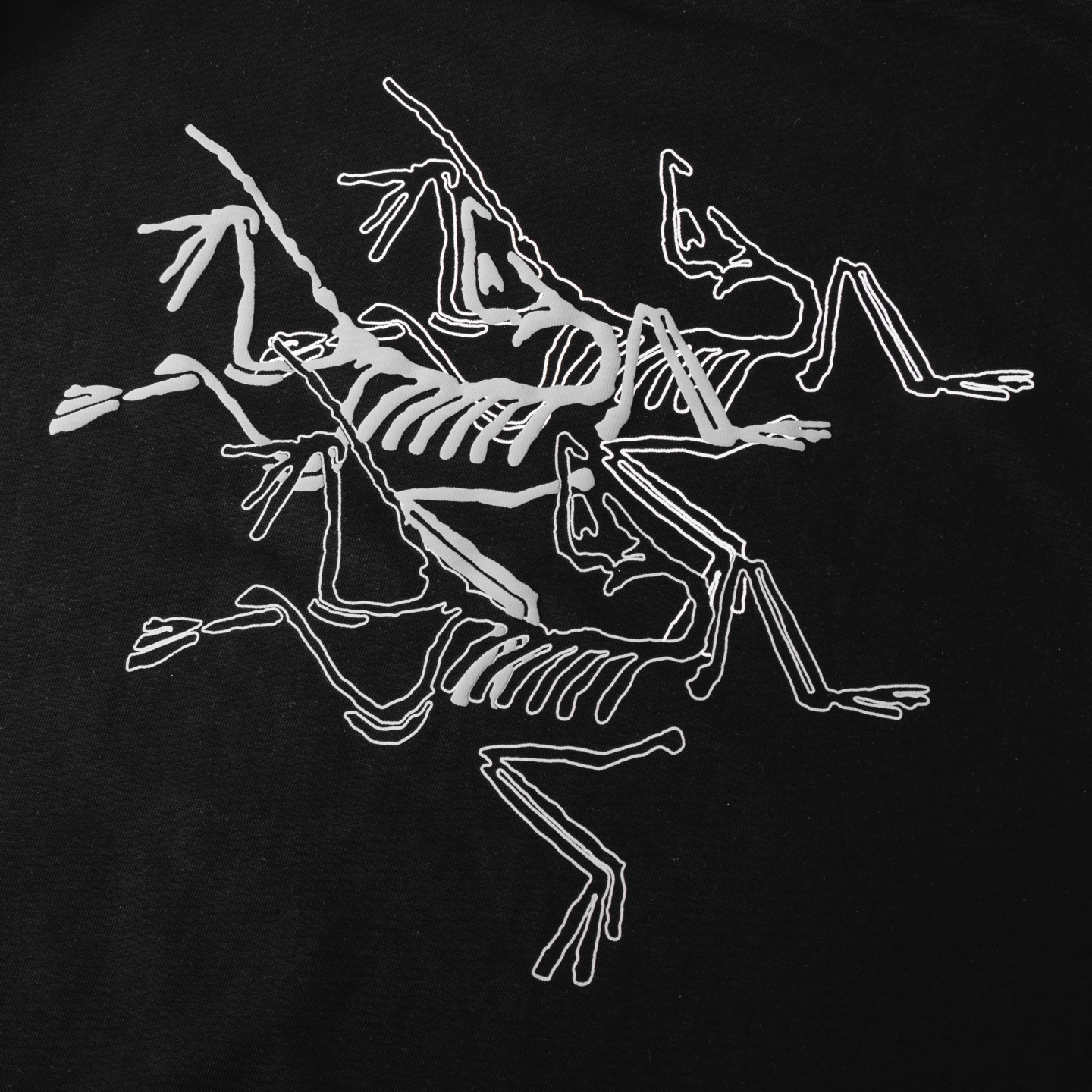 High-End Women’s Suit with Arcteryx T-Shirt Packaging: Lavender Threads, Original Sticker - 图片 7