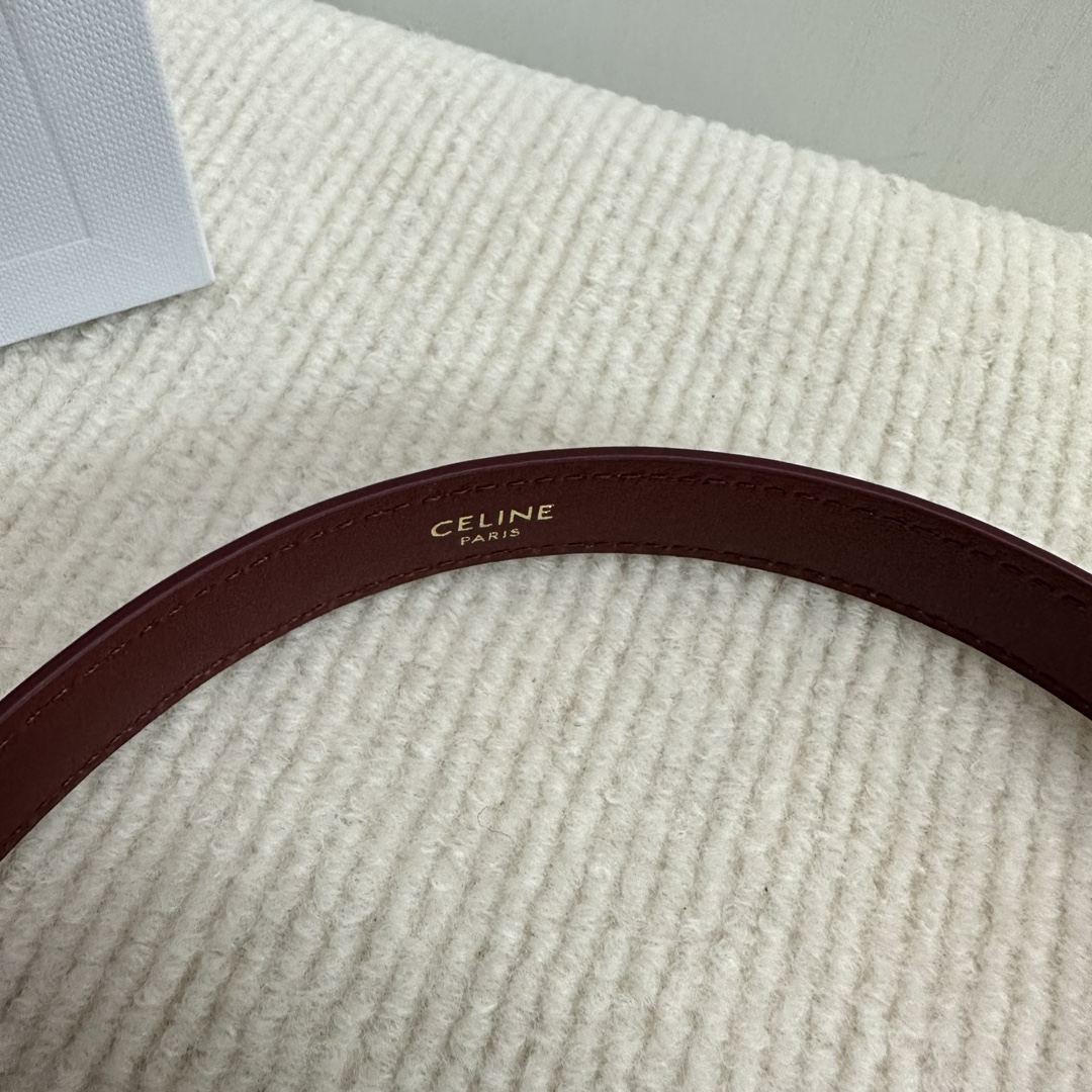 Celine Teen Garance Burgundy Lacquered Leather Handbag with Triomphe Lock 8 i1733855973 991 0