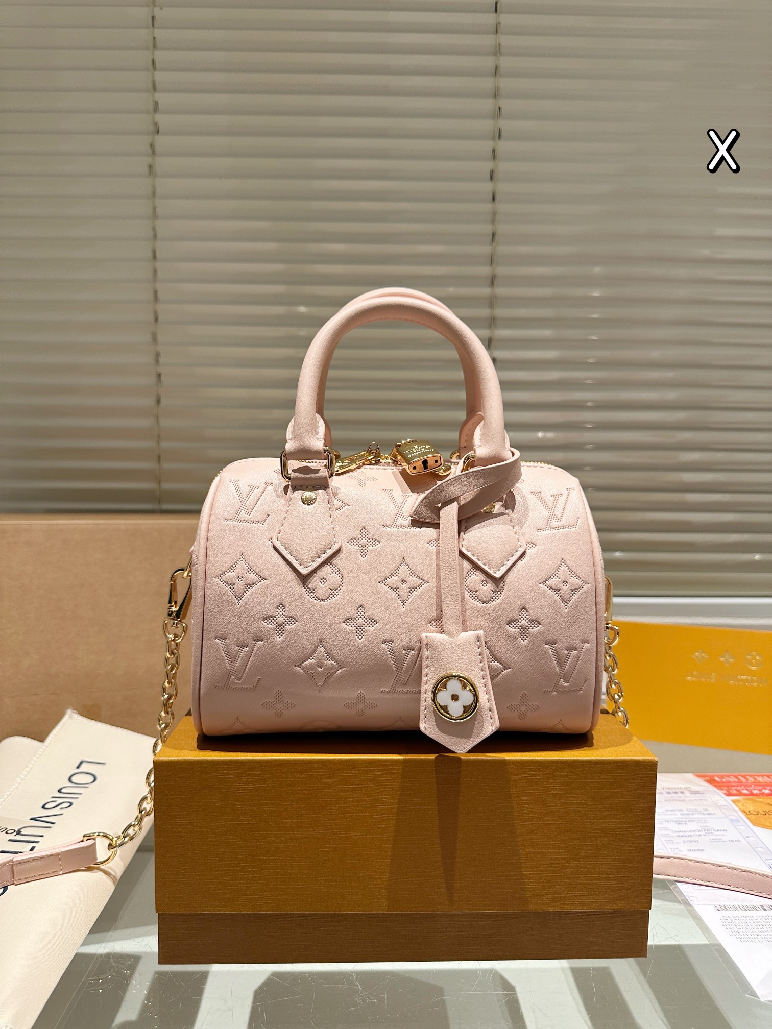 Louis Vuitton LV Speedy Sacs À Main